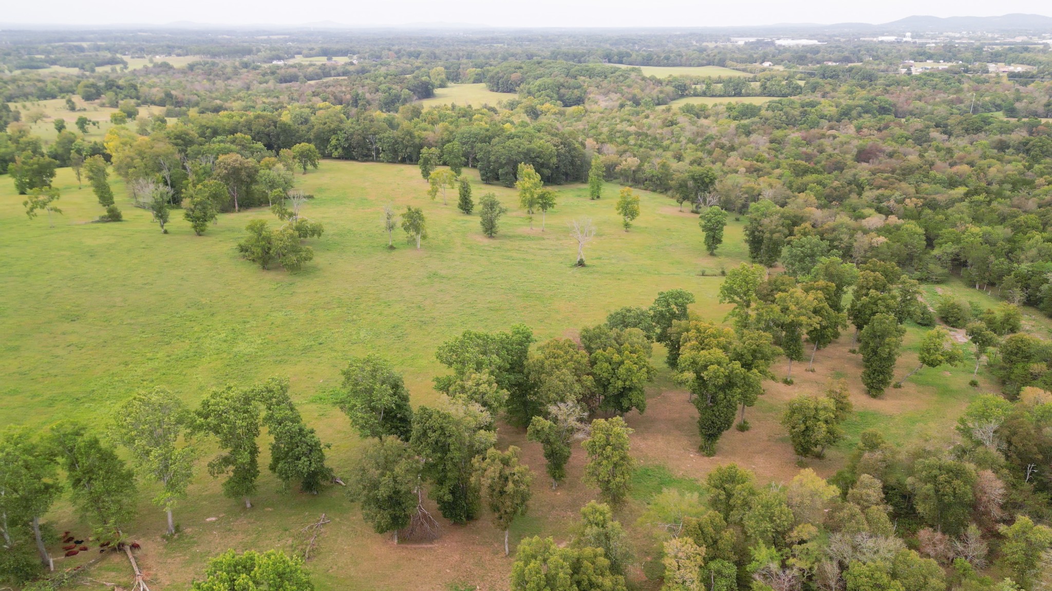 734 Old Nashville Dirt Road Shelbyville TN 37160