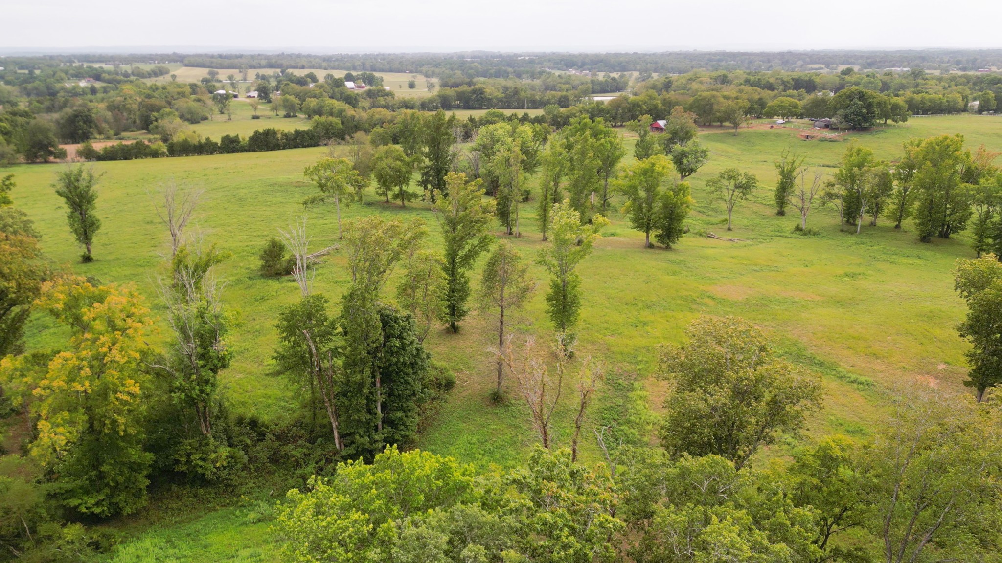 734 Old Nashville Dirt Road Shelbyville TN 37160