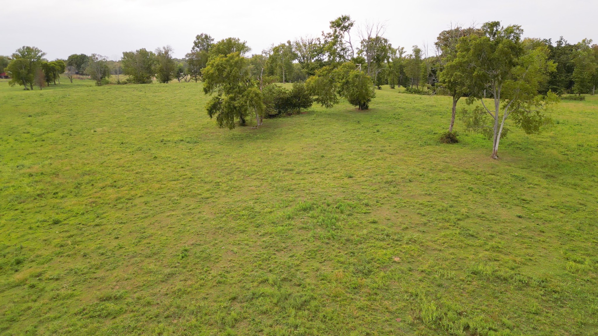 734 Old Nashville Dirt Road Shelbyville TN 37160