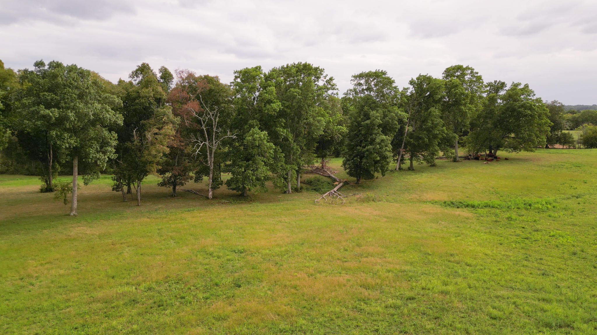 734 Old Nashville Dirt Road Shelbyville TN 37160