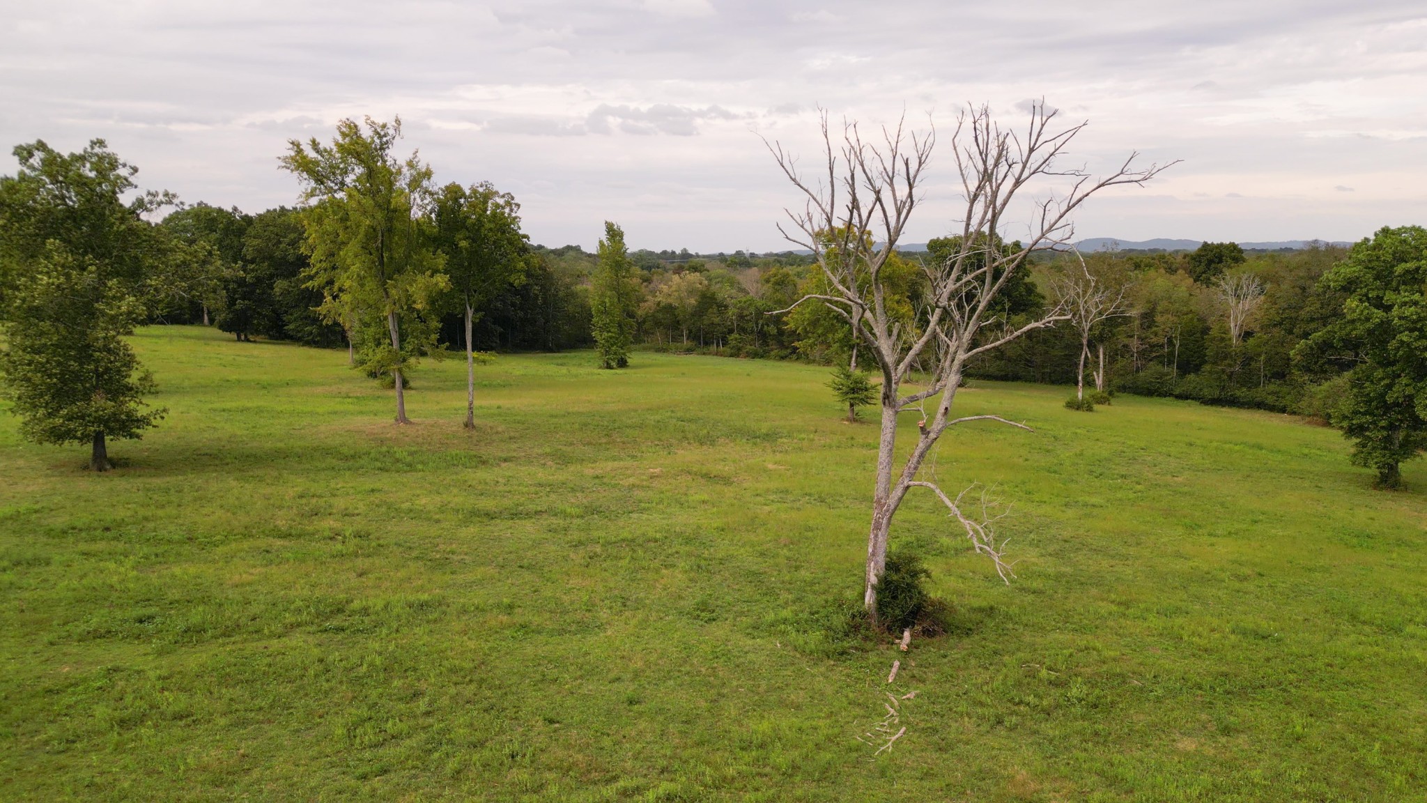 734 Old Nashville Dirt Road Shelbyville TN 37160