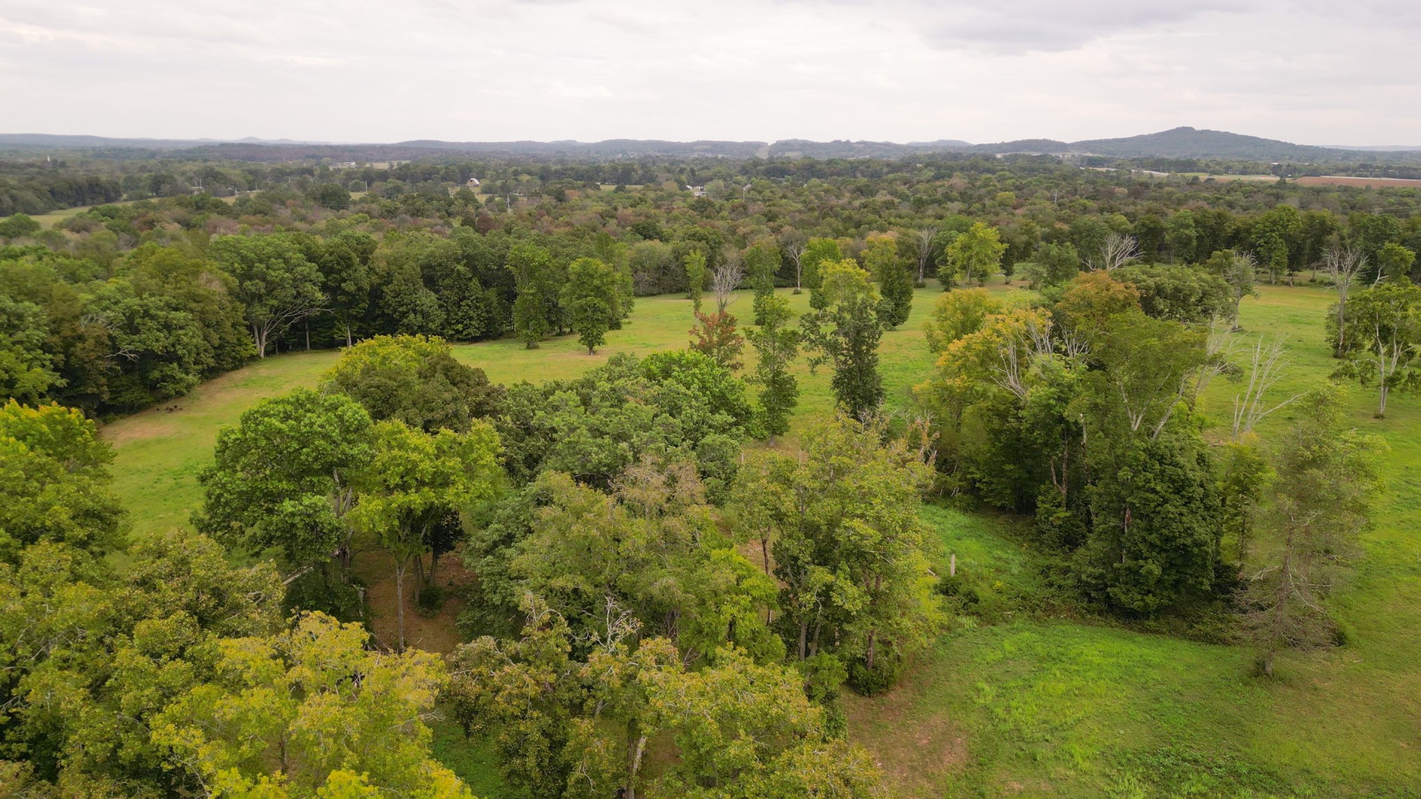734 Old Nashville Dirt Road Shelbyville TN 37160