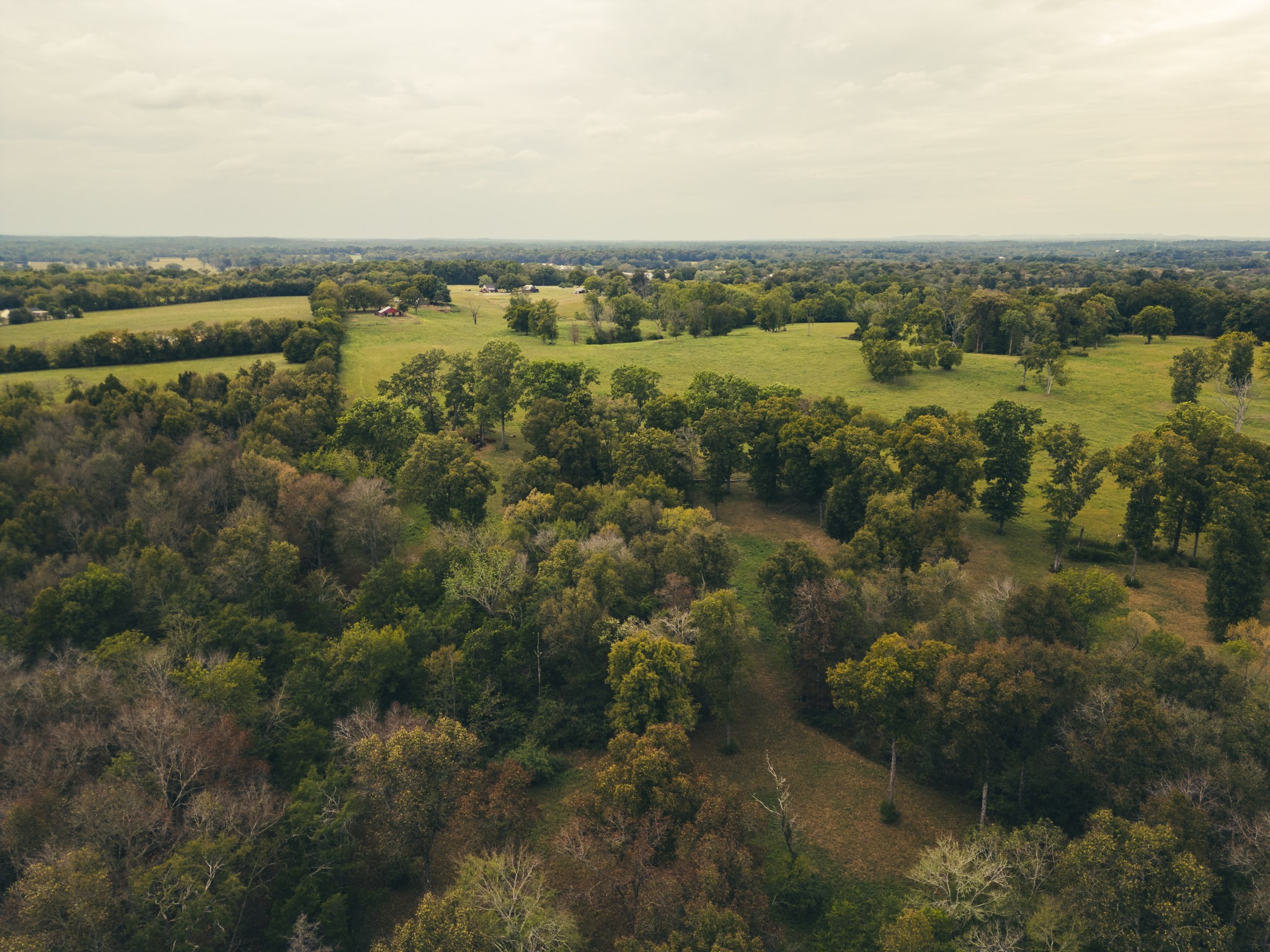 734 Old Nashville Dirt Road Shelbyville TN 37160