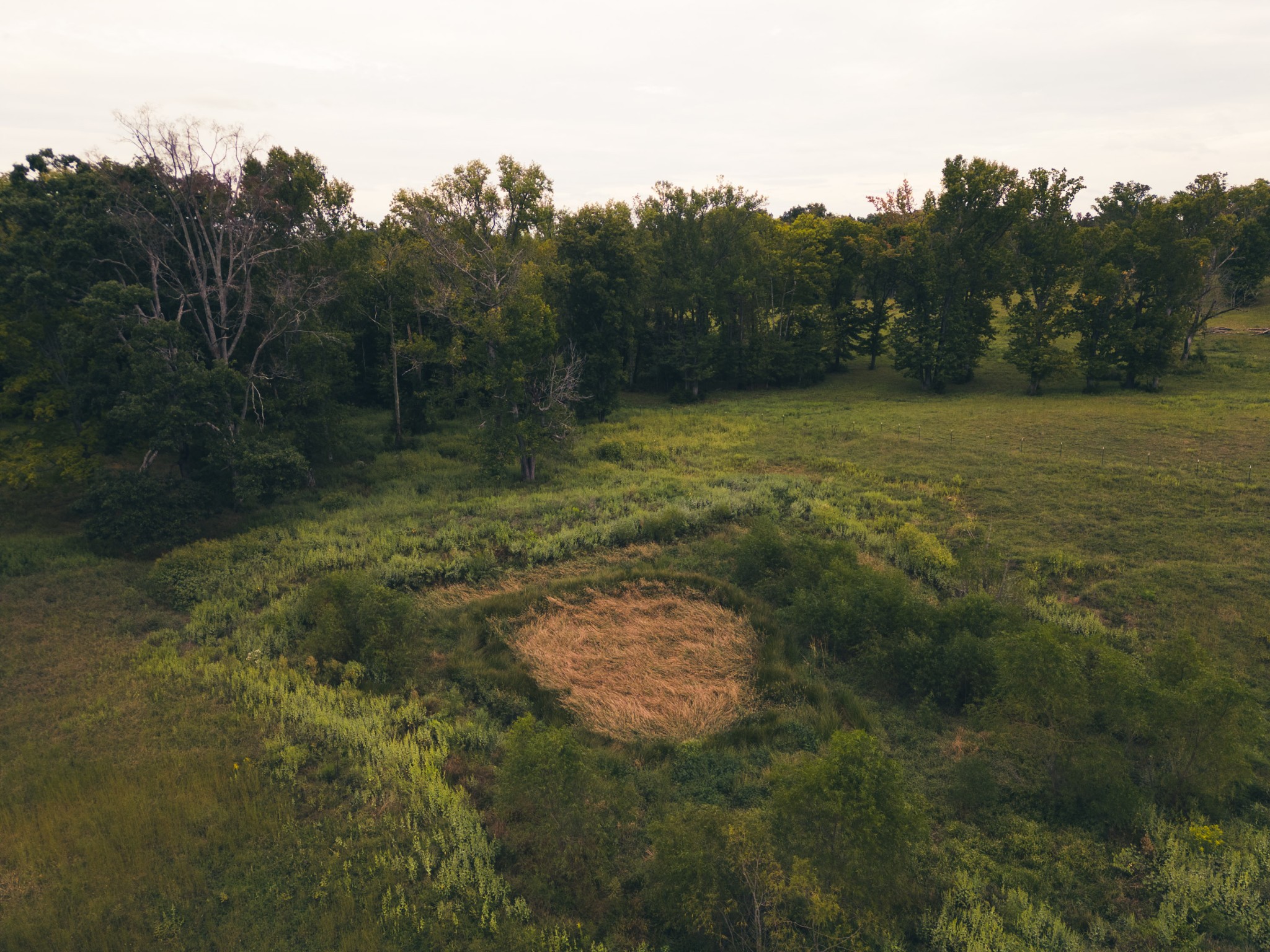 734 Old Nashville Dirt Road Shelbyville TN 37160