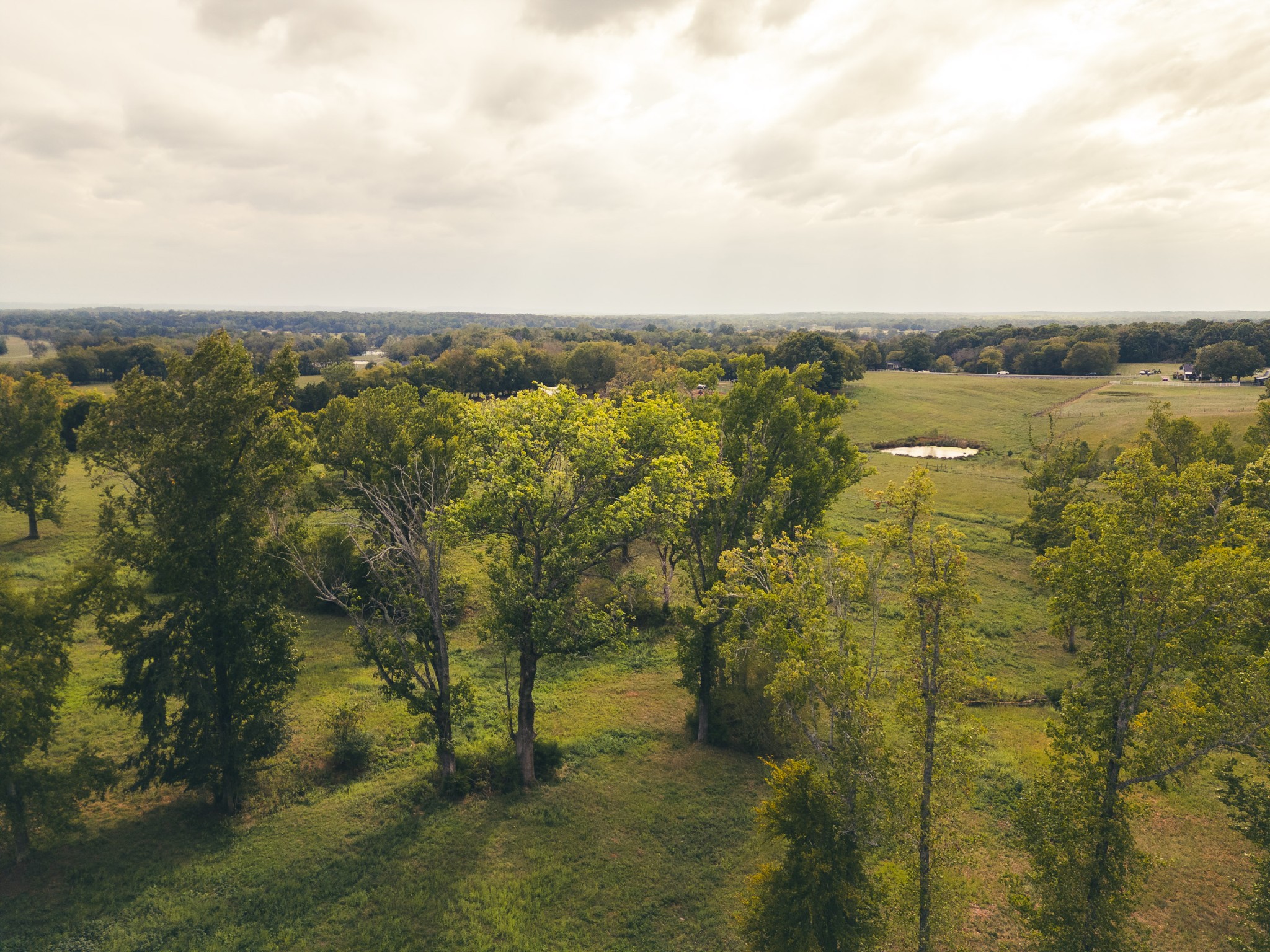 734 Old Nashville Dirt Road Shelbyville TN 37160