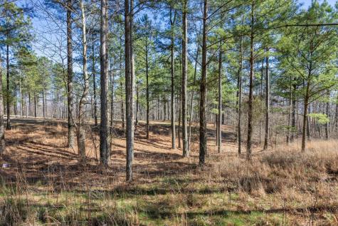 0 Prospectors Way Jasper TN 37347
