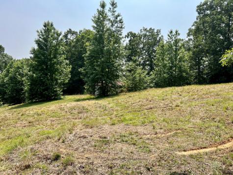 2195 Higginbottom Road Selmer TN 38375