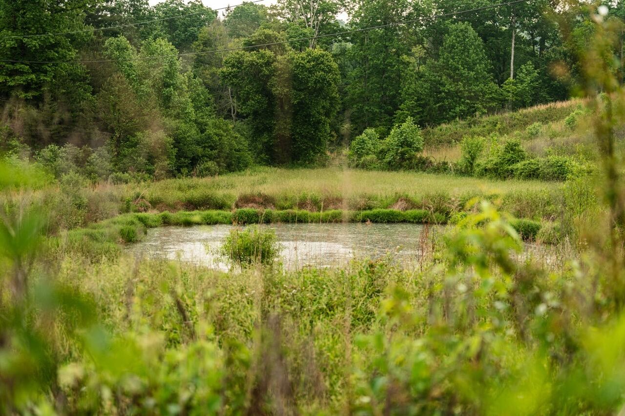 554 Rocky Ford Road Turtletown TN 37391