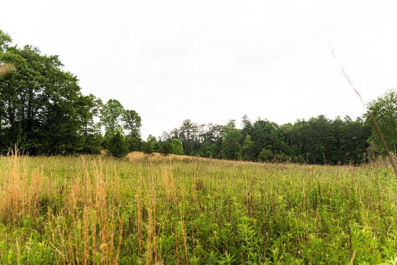 554 Rocky Ford Road Turtletown TN 37391