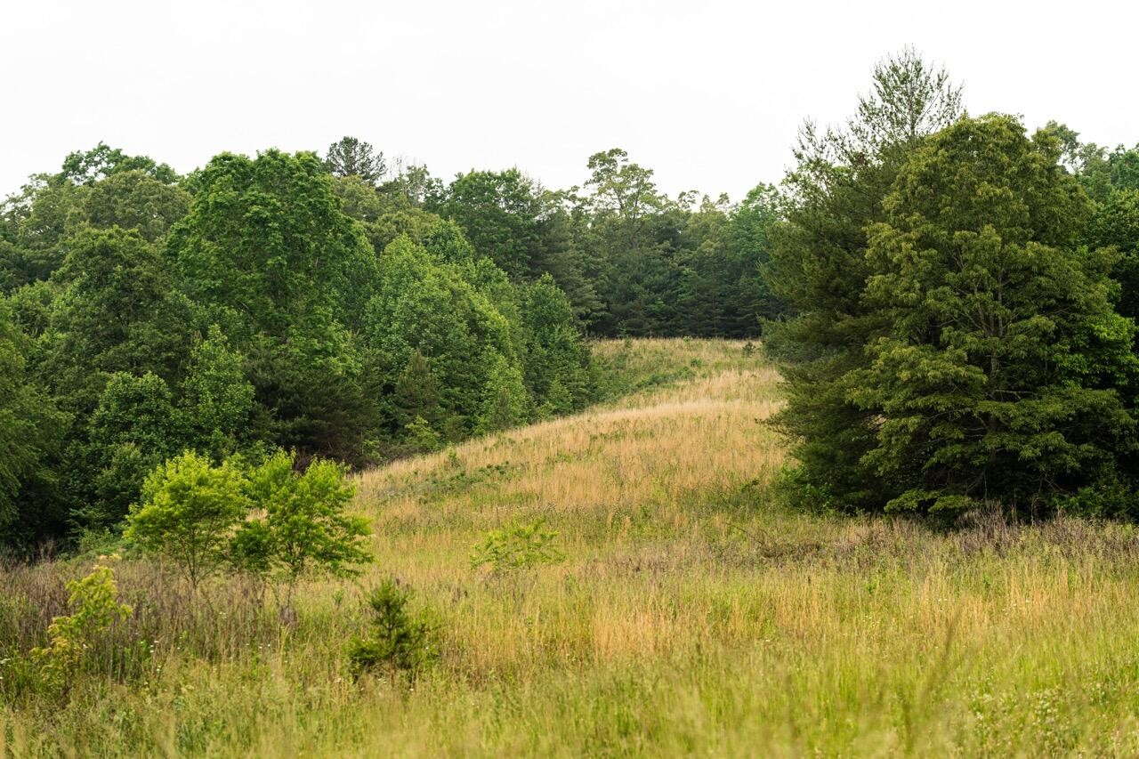 554 Rocky Ford Road Turtletown TN 37391