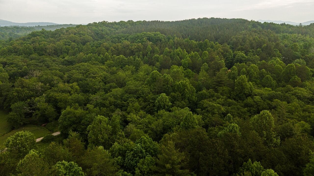 554 Rocky Ford Road Turtletown TN 37391