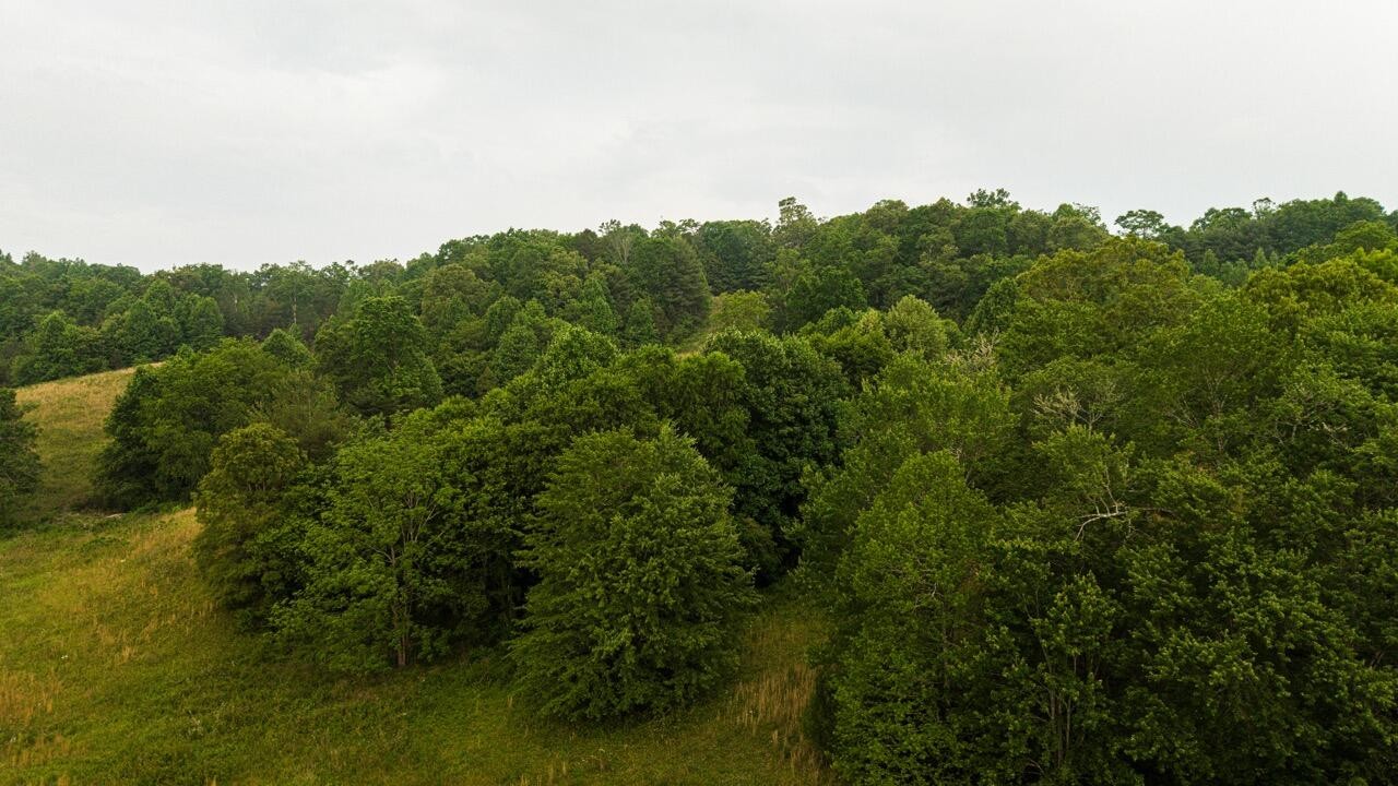 554 Rocky Ford Road Turtletown TN 37391