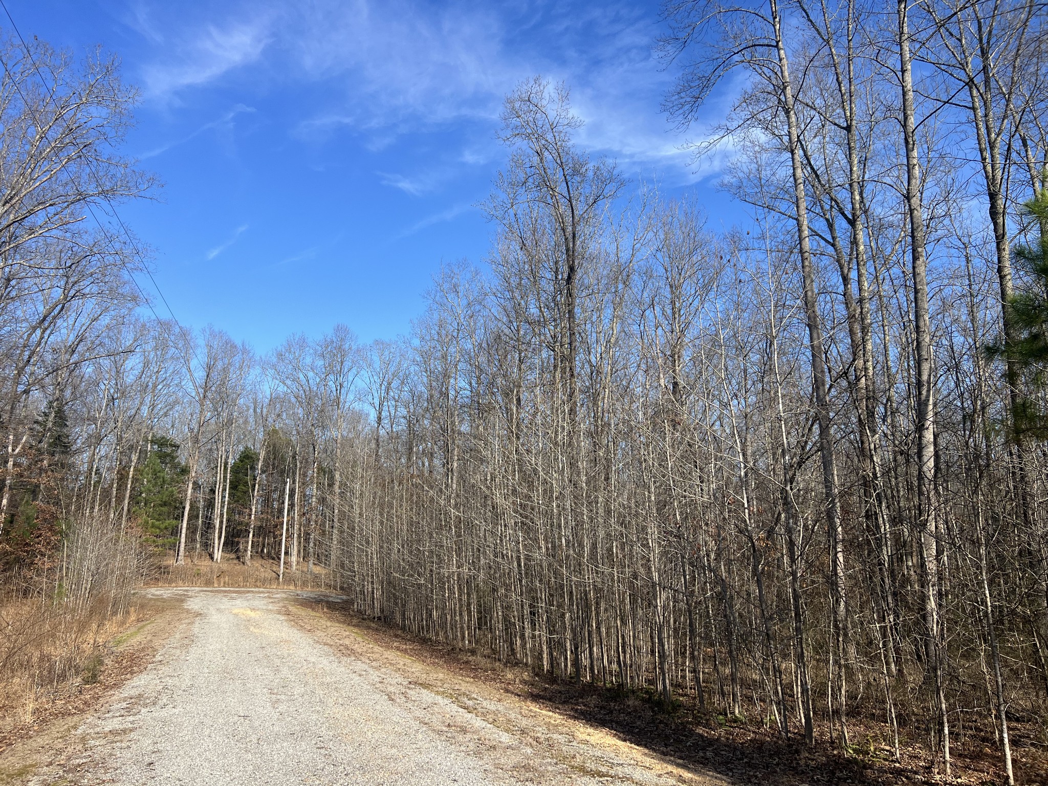 240 War Eagle Drive Lot 121 Cedar Grove TN 38321