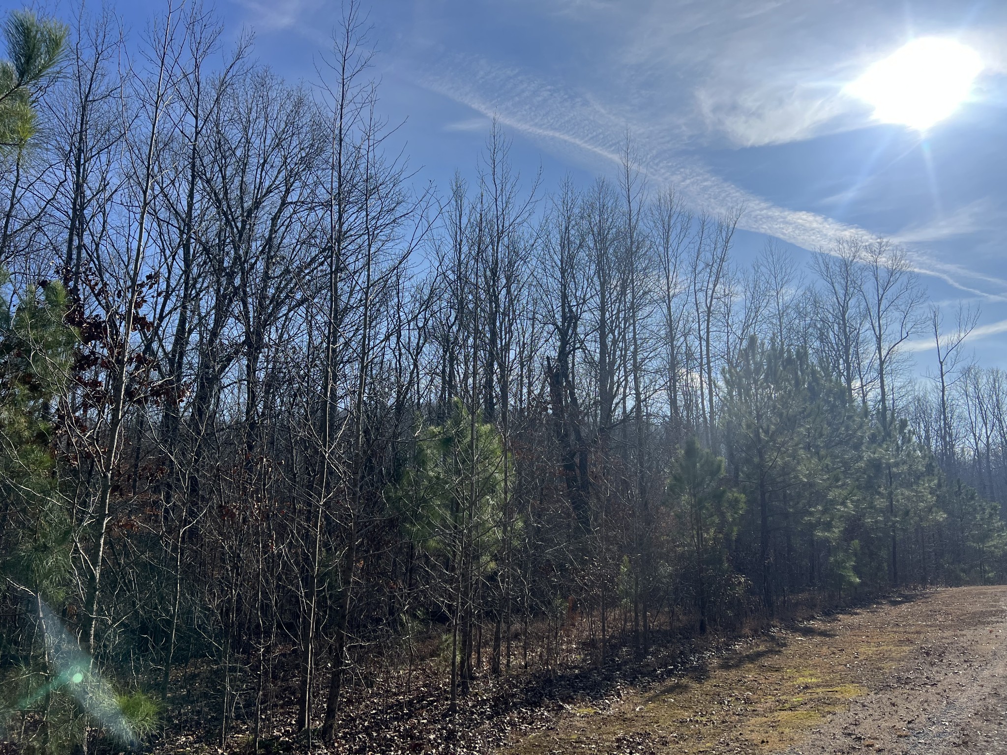 240 War Eagle Drive Lot 121 Cedar Grove TN 38321