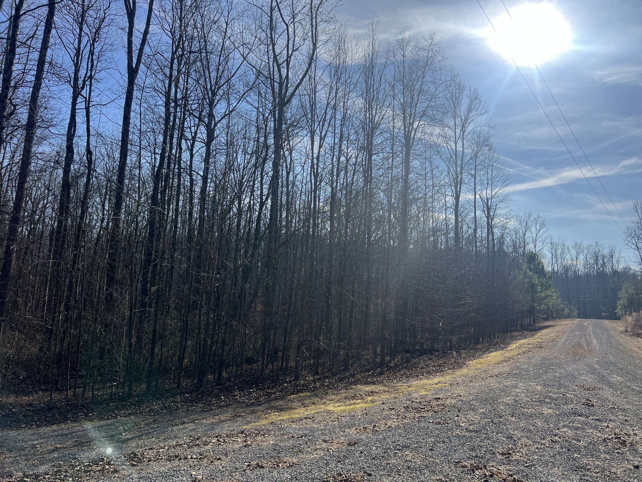 240 War Eagle Drive Lot 121 Cedar Grove TN 38321