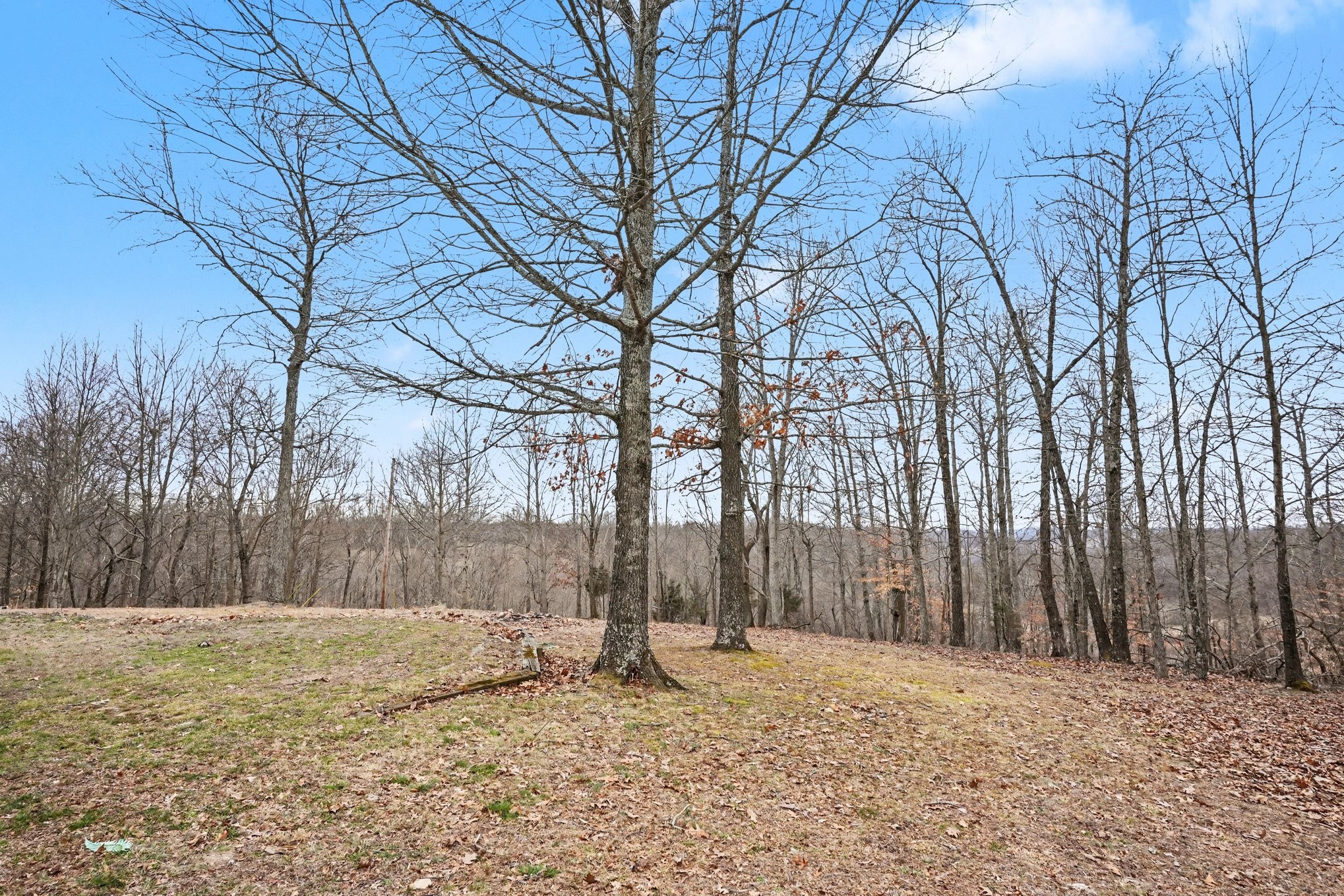 2490 Monte Murrey Road Lewisburg TN 37091