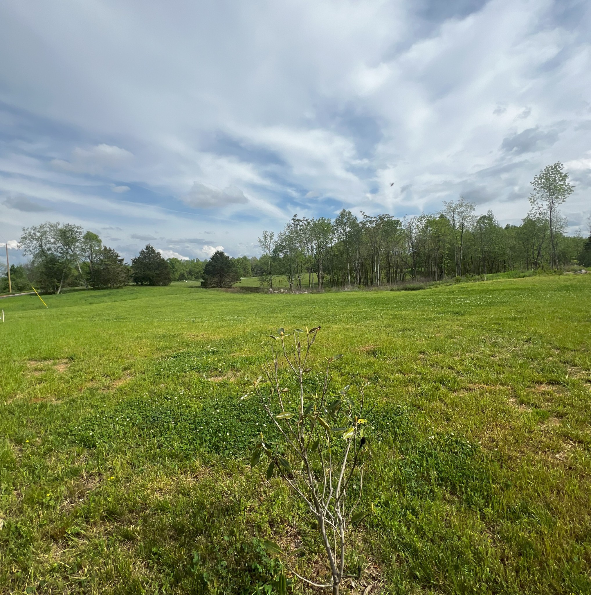 9360 Medlin Road Baxter TN 38544