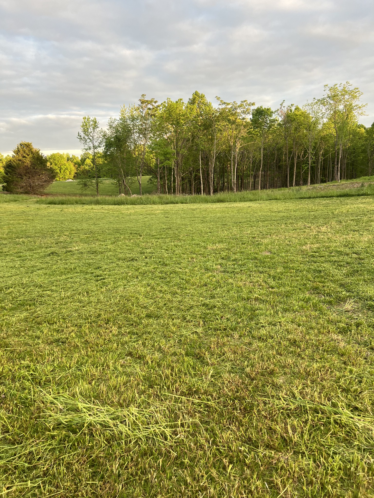 9360 Medlin Road Baxter TN 38544