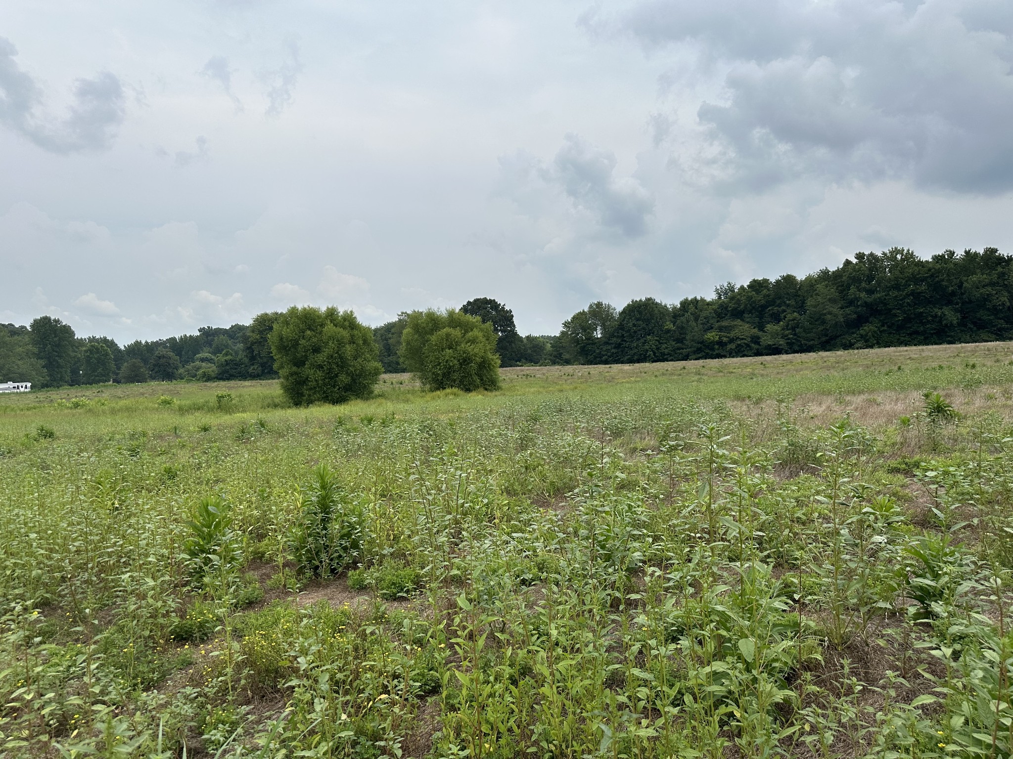 0 Clarksville Pike Joelton TN 37080