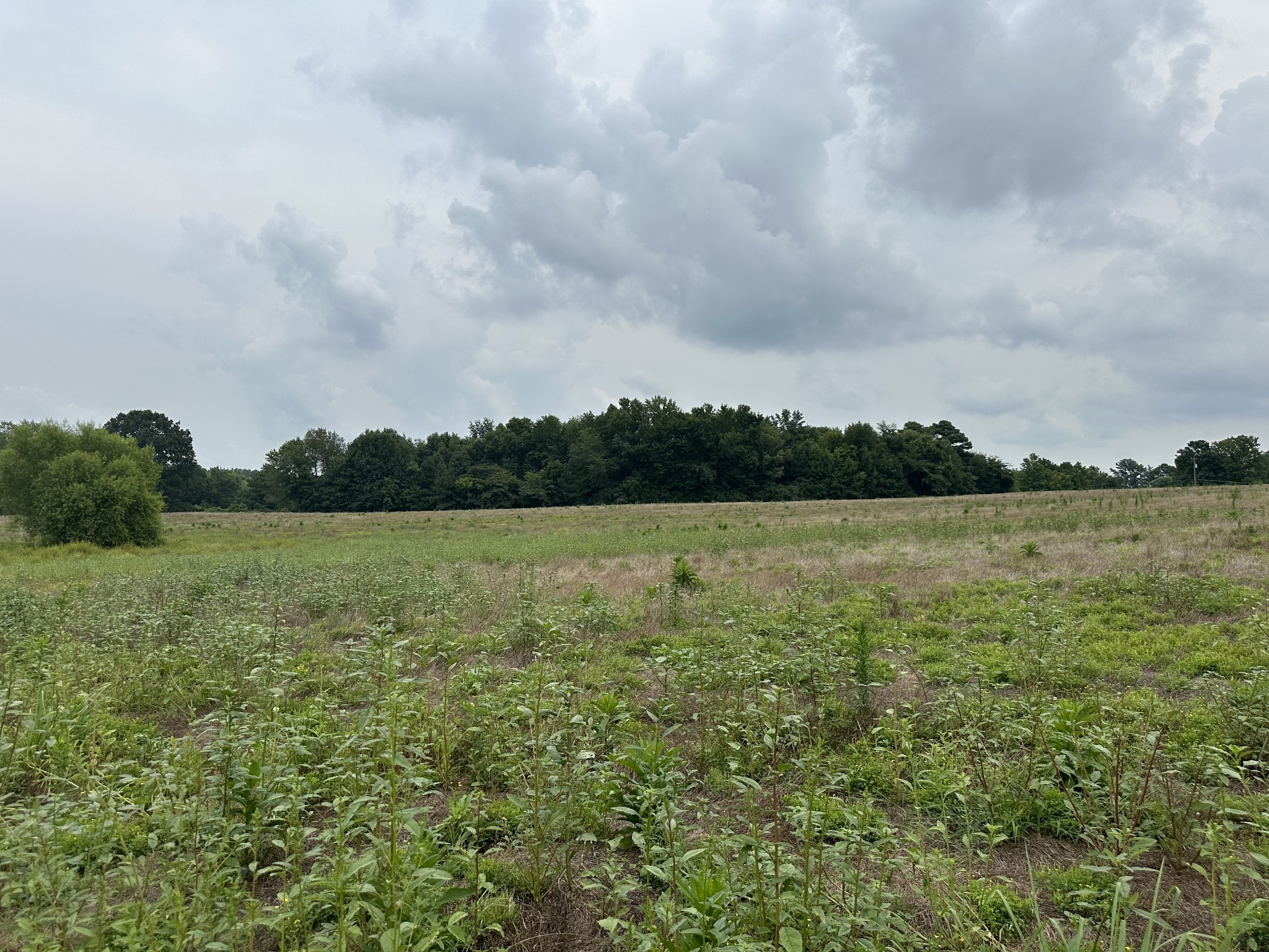 0 Clarksville Pike Joelton TN 37080