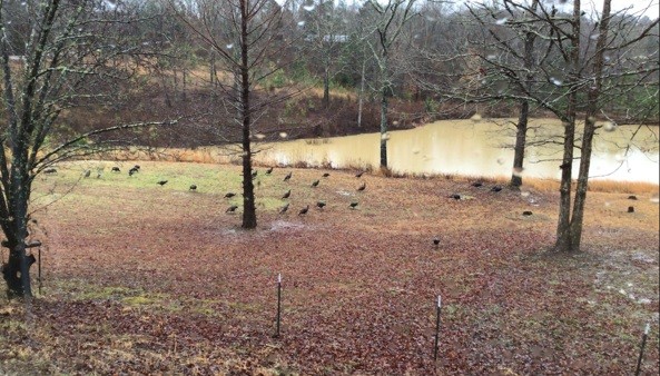 681 Swan Johnson Road Darden TN 38328