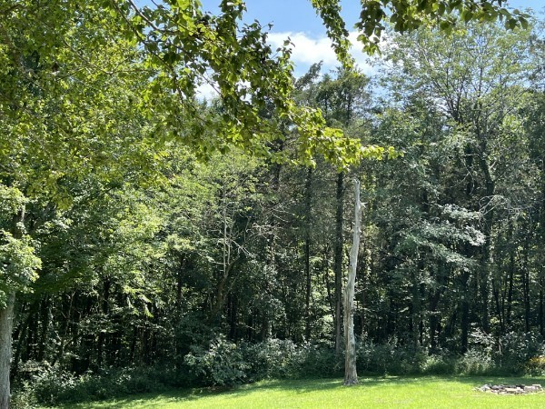 4929B Bethesda Duplex Road College Grove TN 37046
