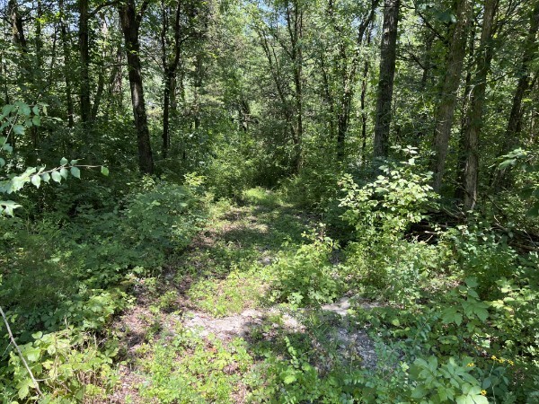 4929B Bethesda Duplex Road College Grove TN 37046