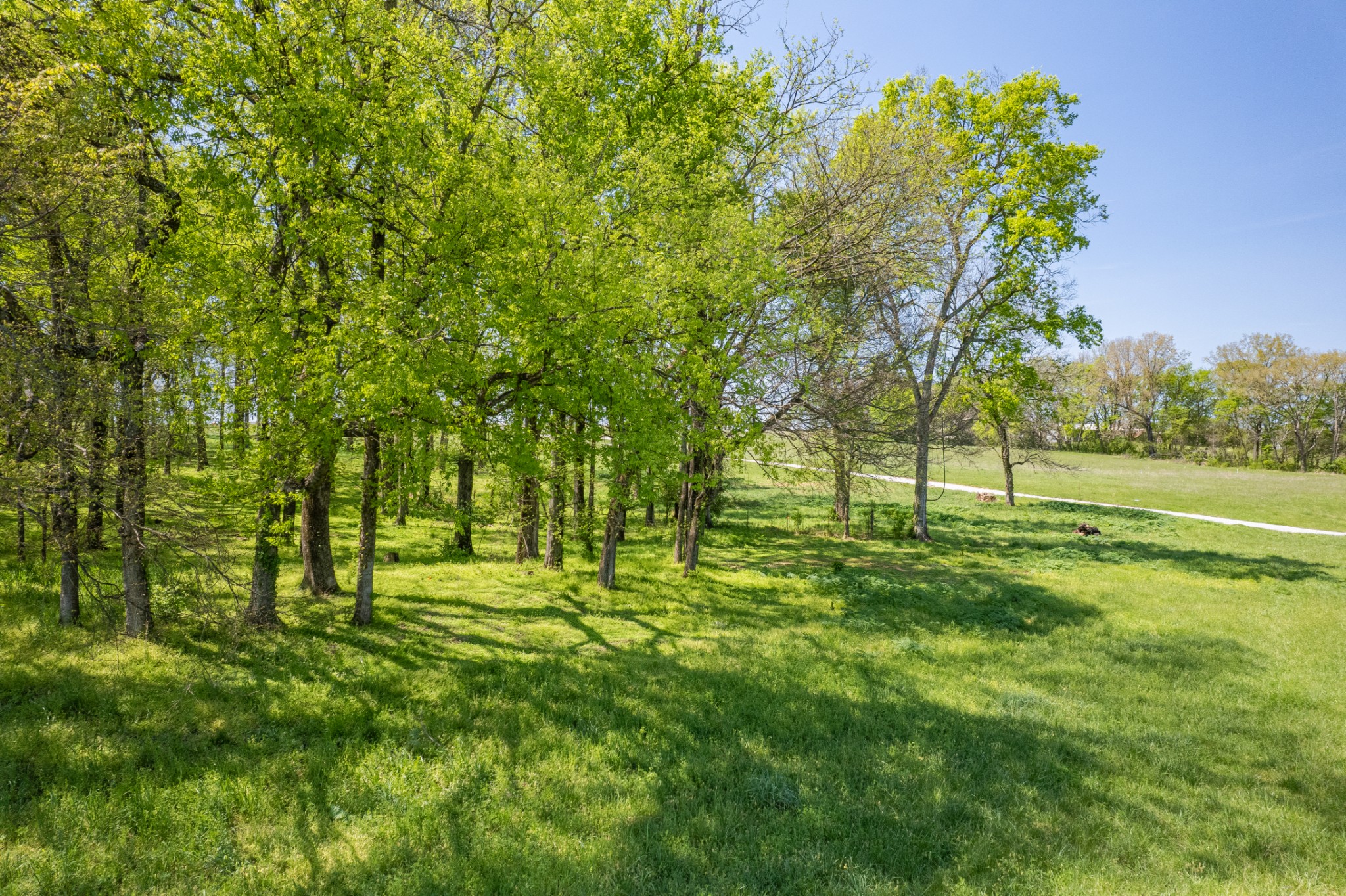 4 Old Zion Road Columbia TN 38401