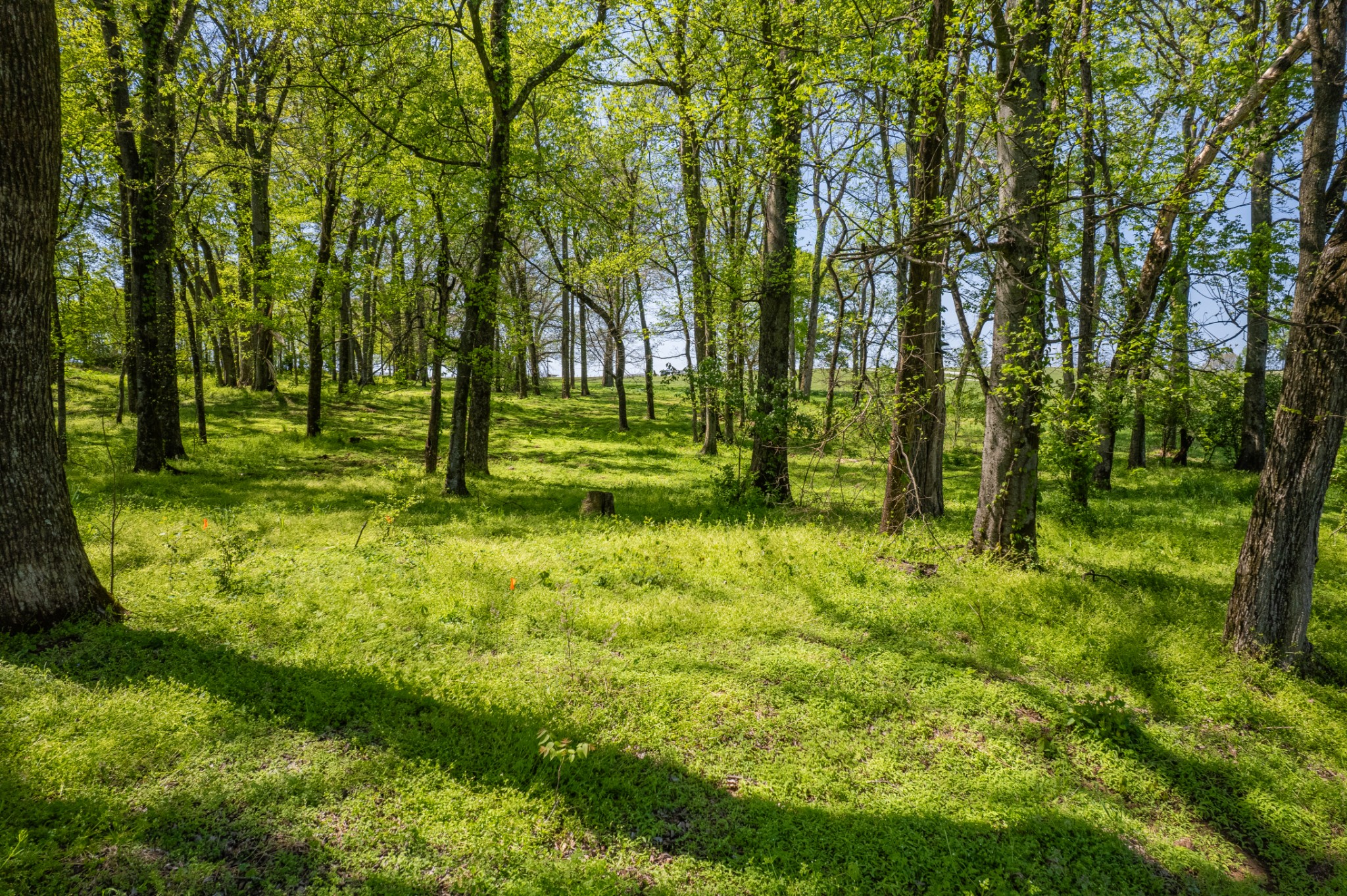 4 Old Zion Road Columbia TN 38401