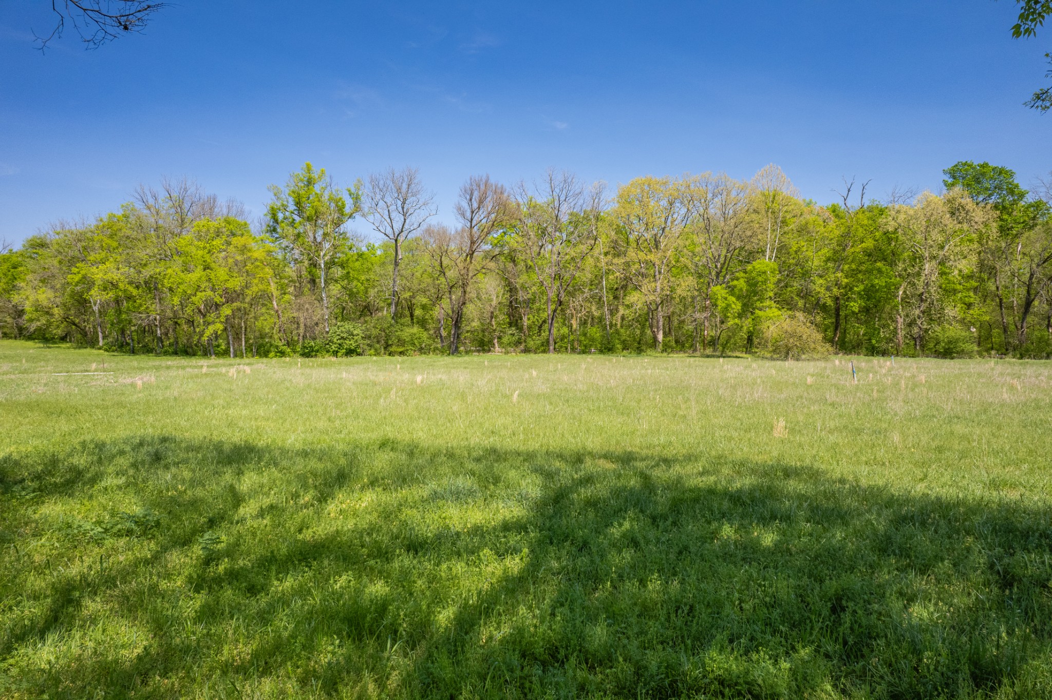 4 Old Zion Road Columbia TN 38401