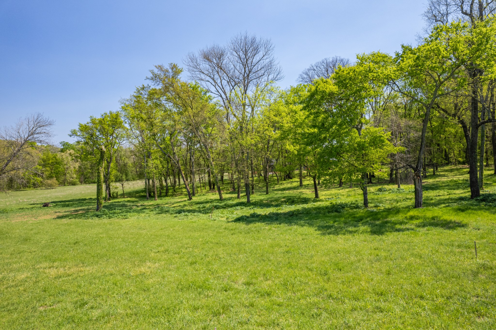 4 Old Zion Road Columbia TN 38401