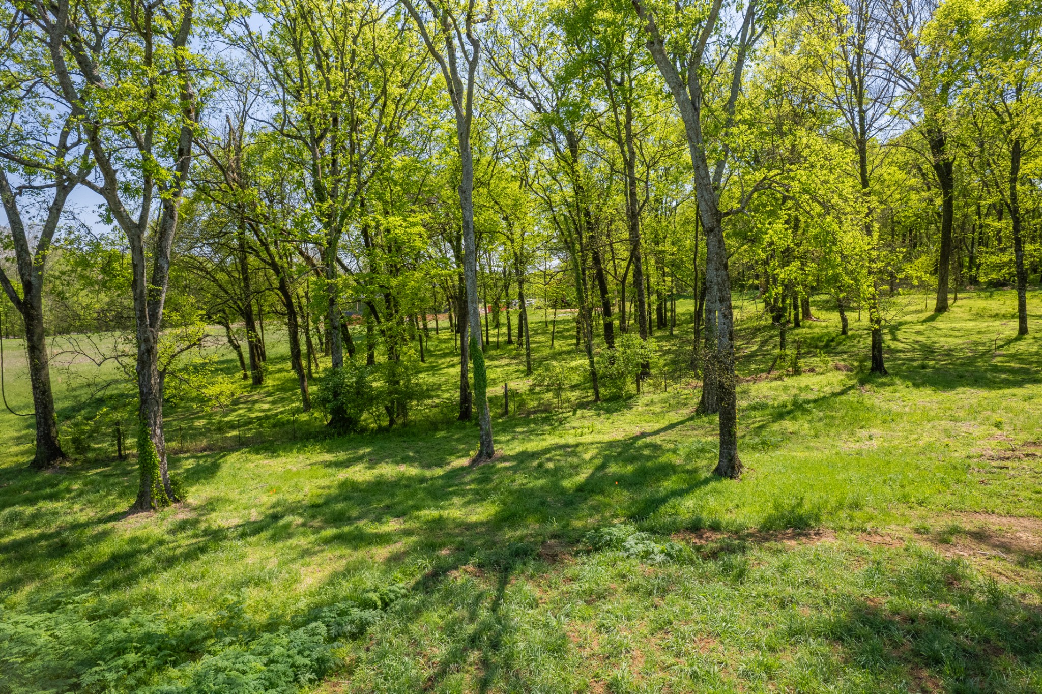 4 Old Zion Road Columbia TN 38401
