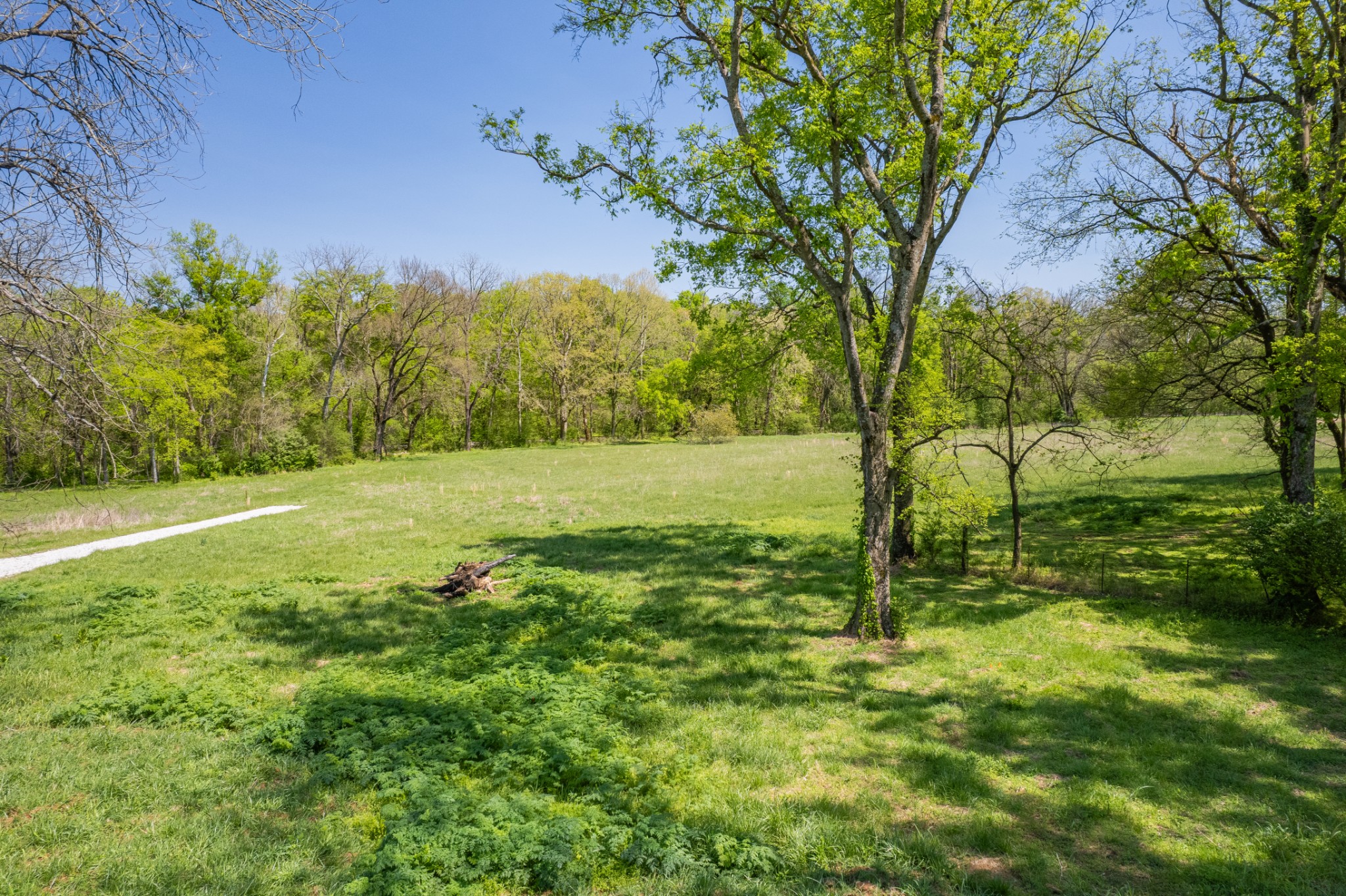 4 Old Zion Road Columbia TN 38401