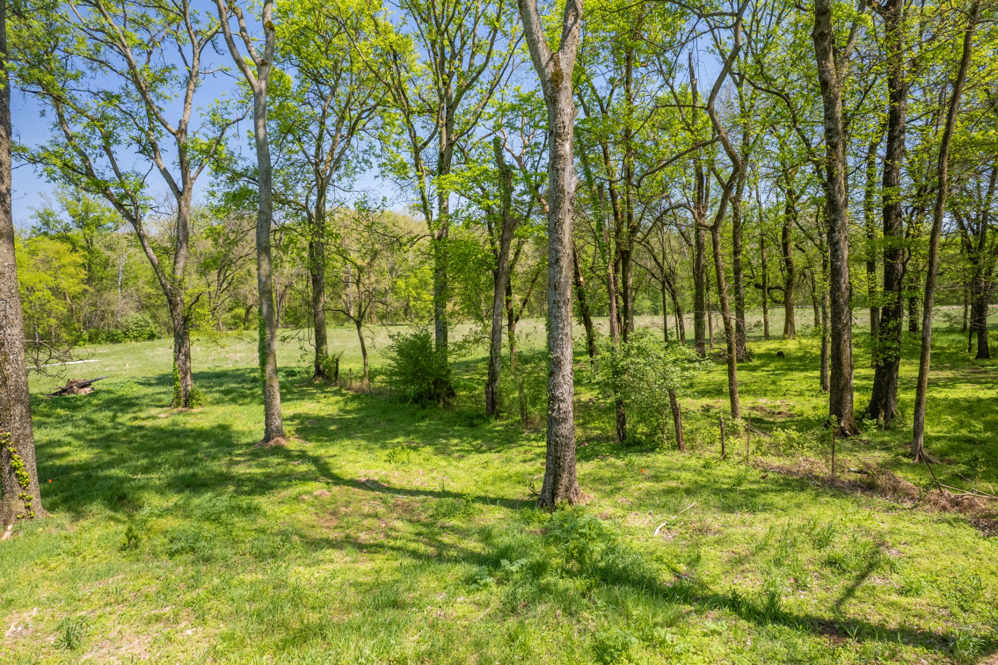 4 Old Zion Road Columbia TN 38401