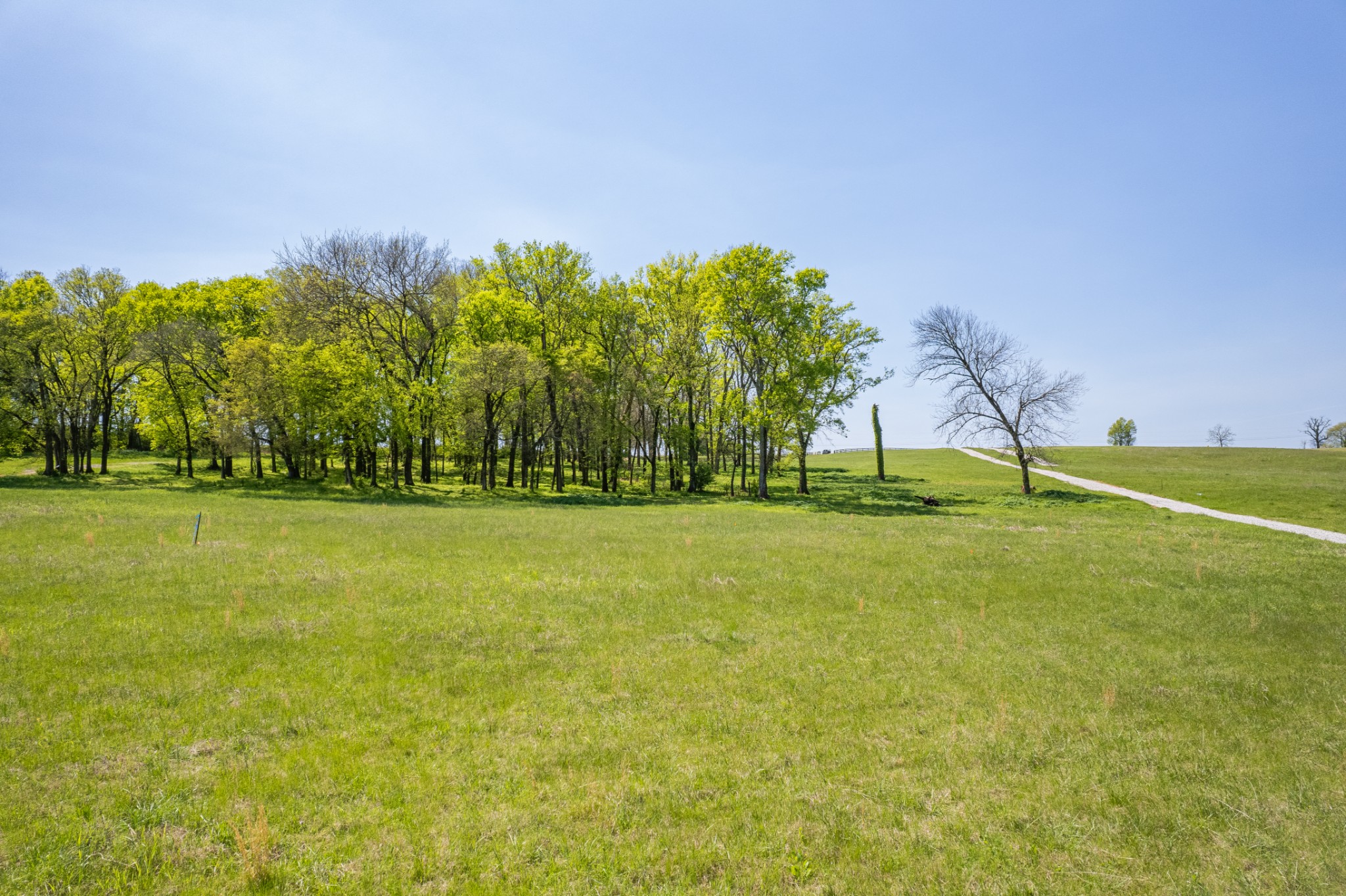 4 Old Zion Road Columbia TN 38401