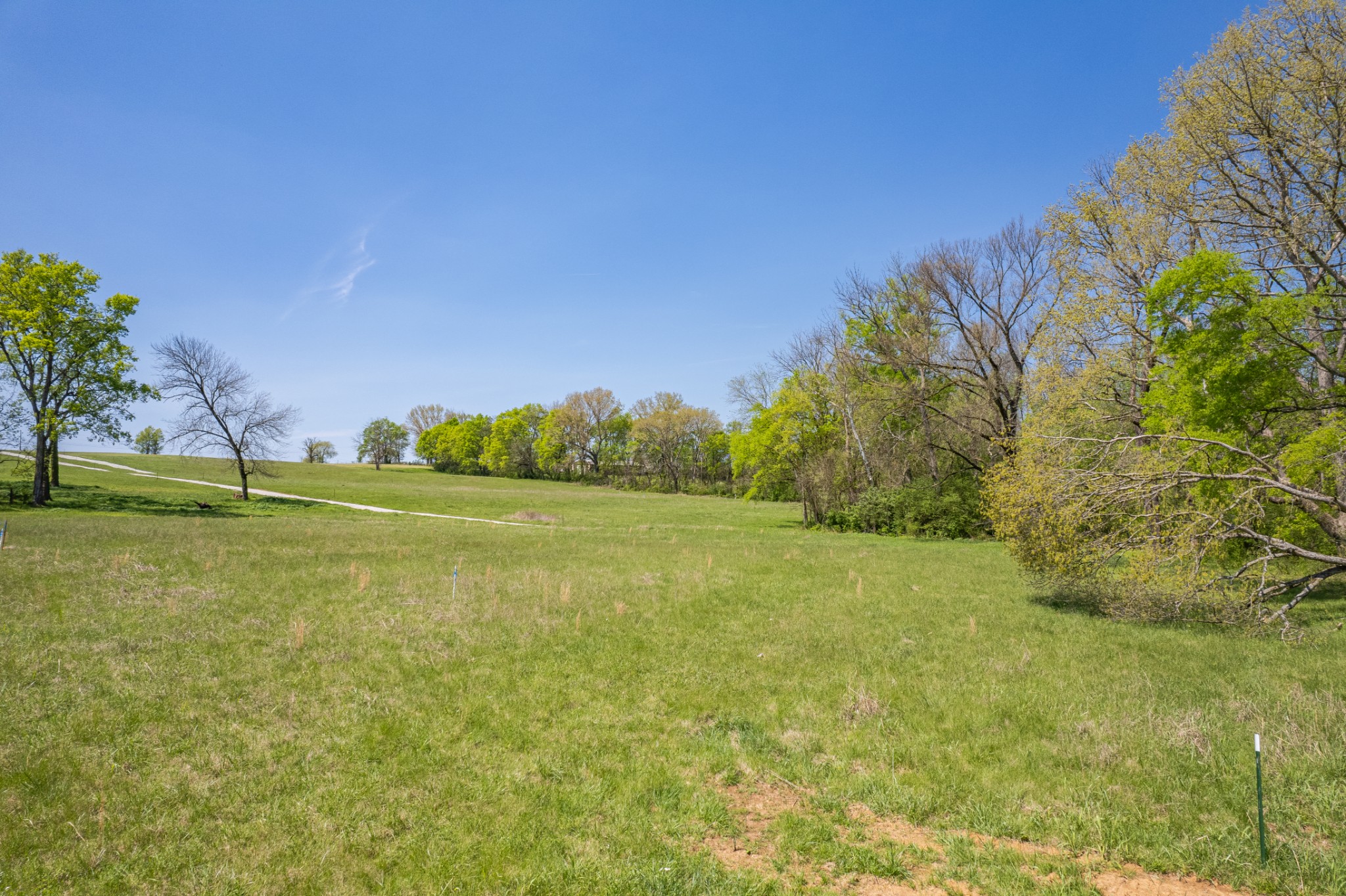 4 Old Zion Road Columbia TN 38401