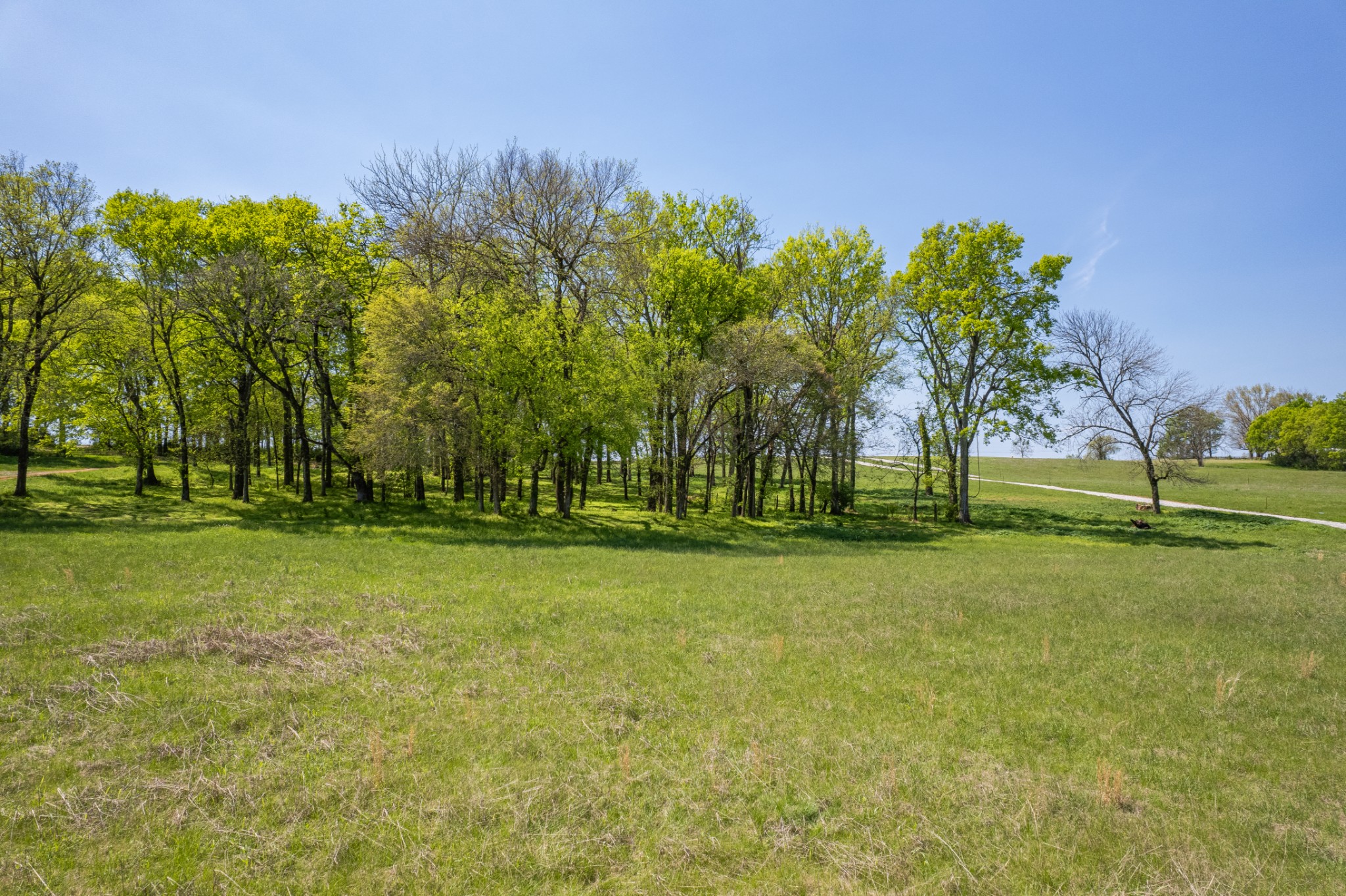 4 Old Zion Road Columbia TN 38401