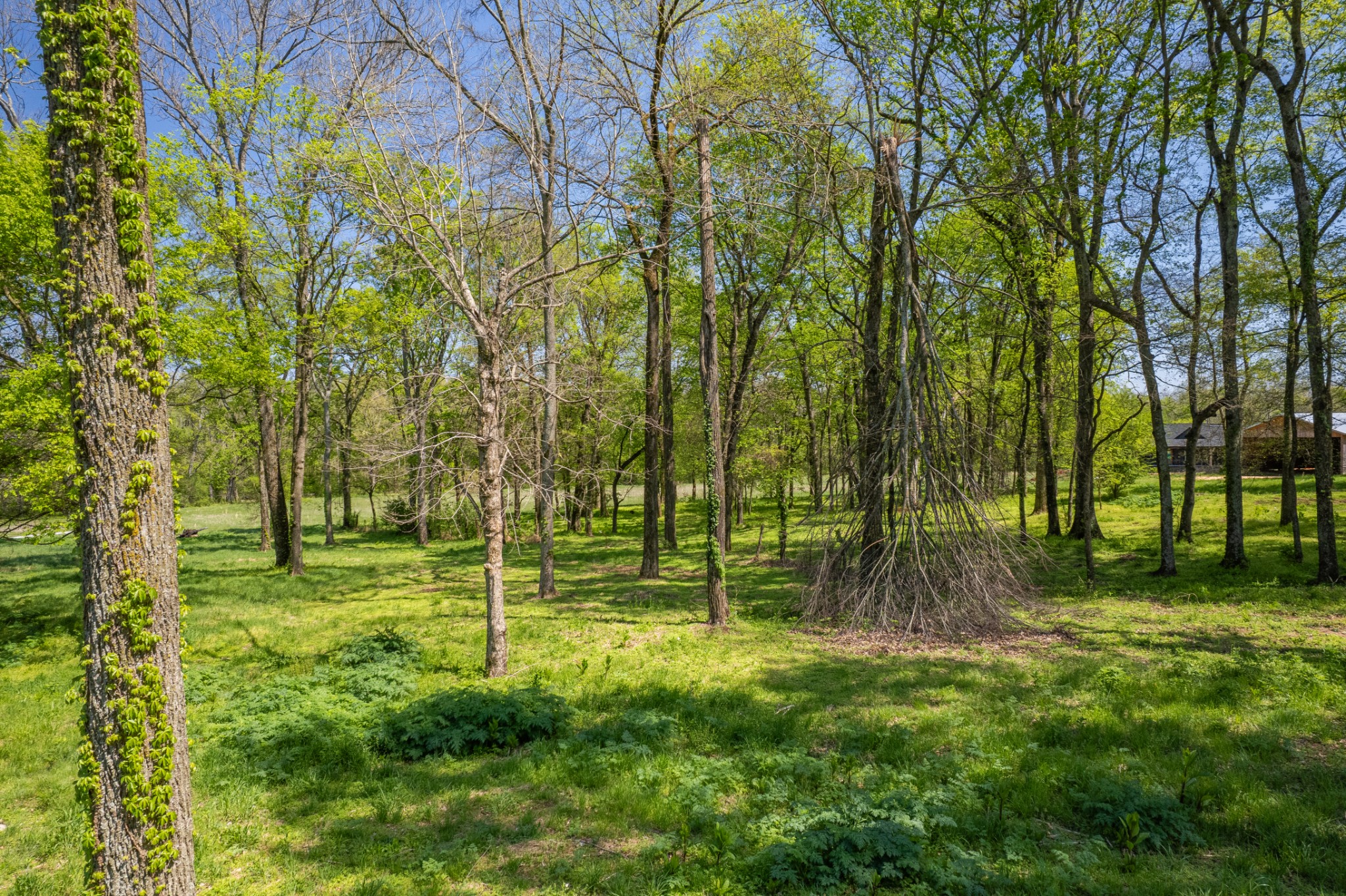 4 Old Zion Road Columbia TN 38401