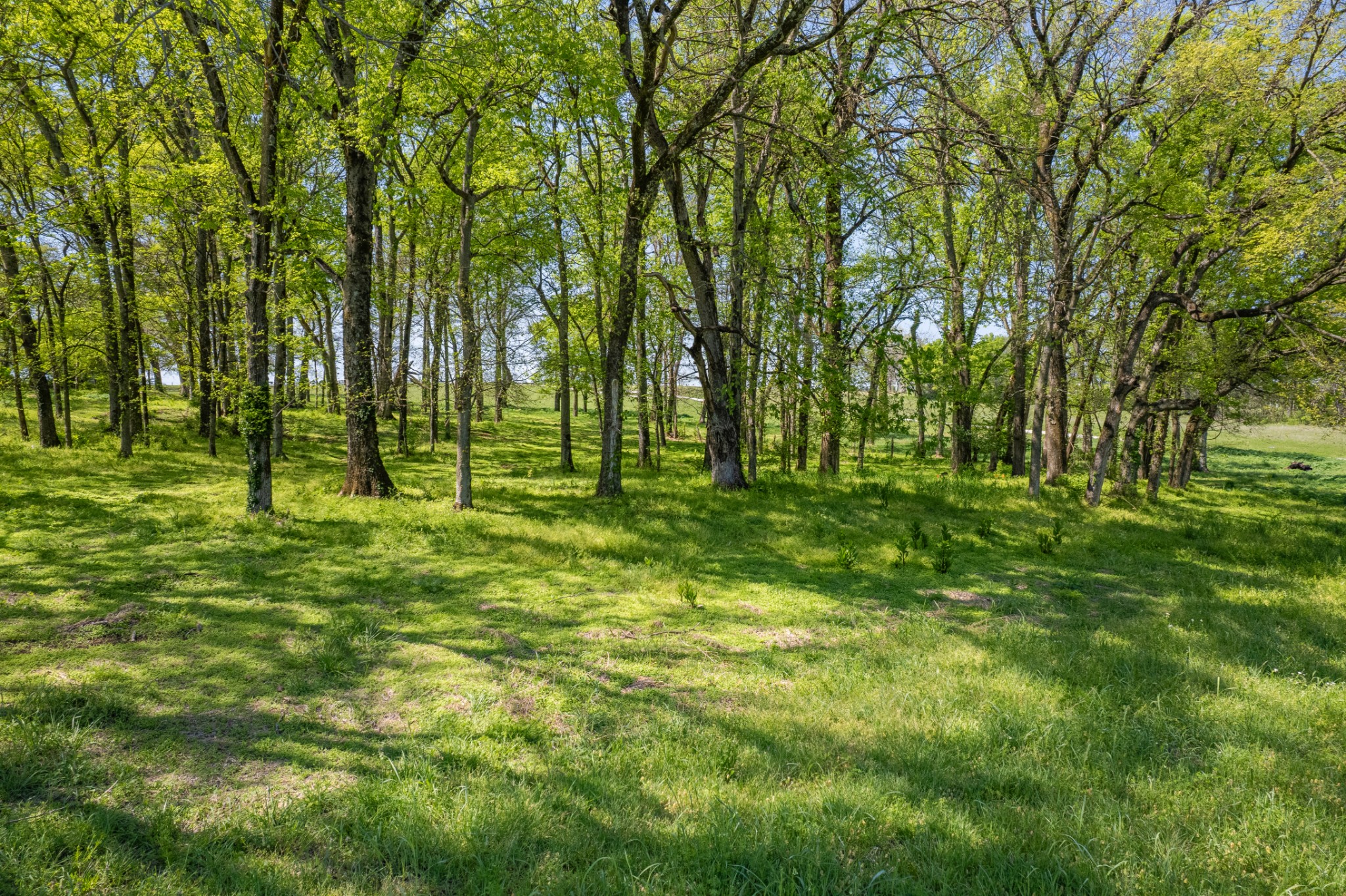 4 Old Zion Road Columbia TN 38401