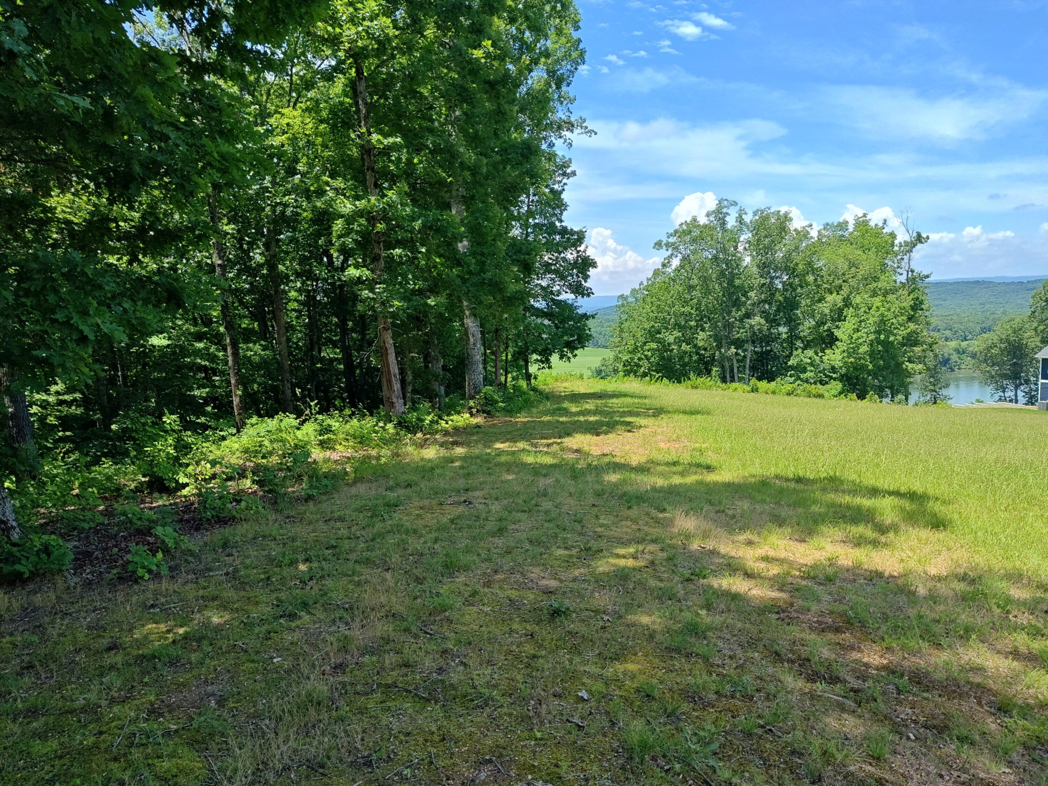 6428 Espalier Drive Decatur TN 37322