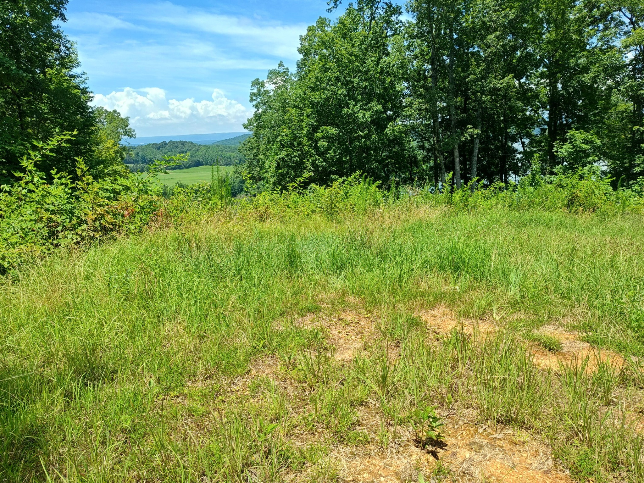 6428 Espalier Drive Decatur TN 37322