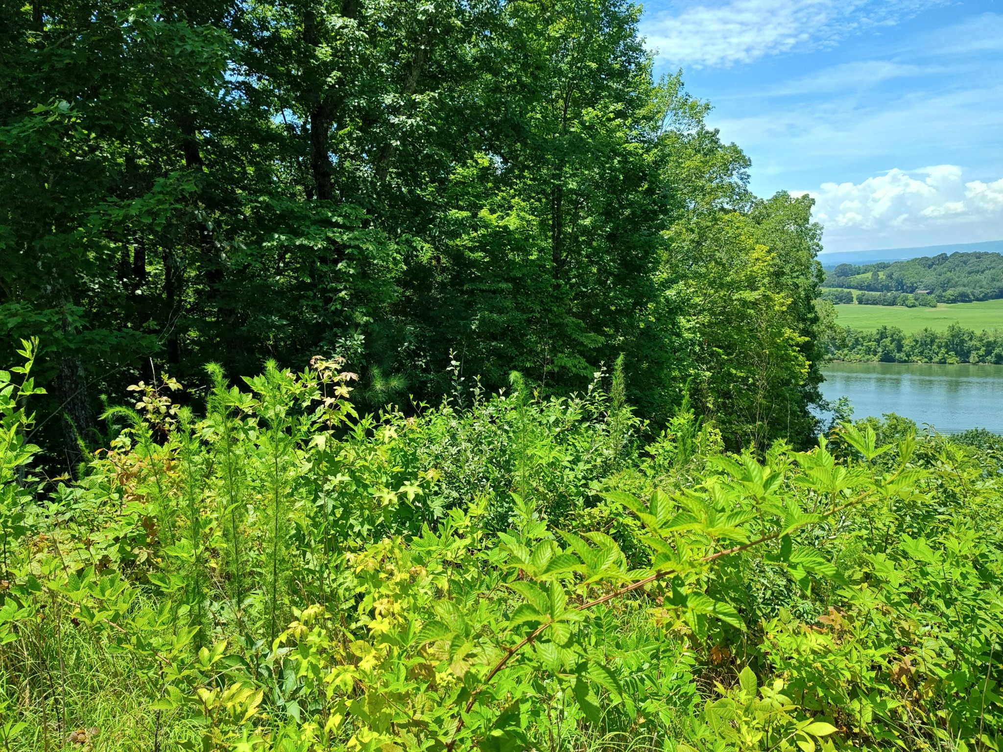 6428 Espalier Drive Decatur TN 37322