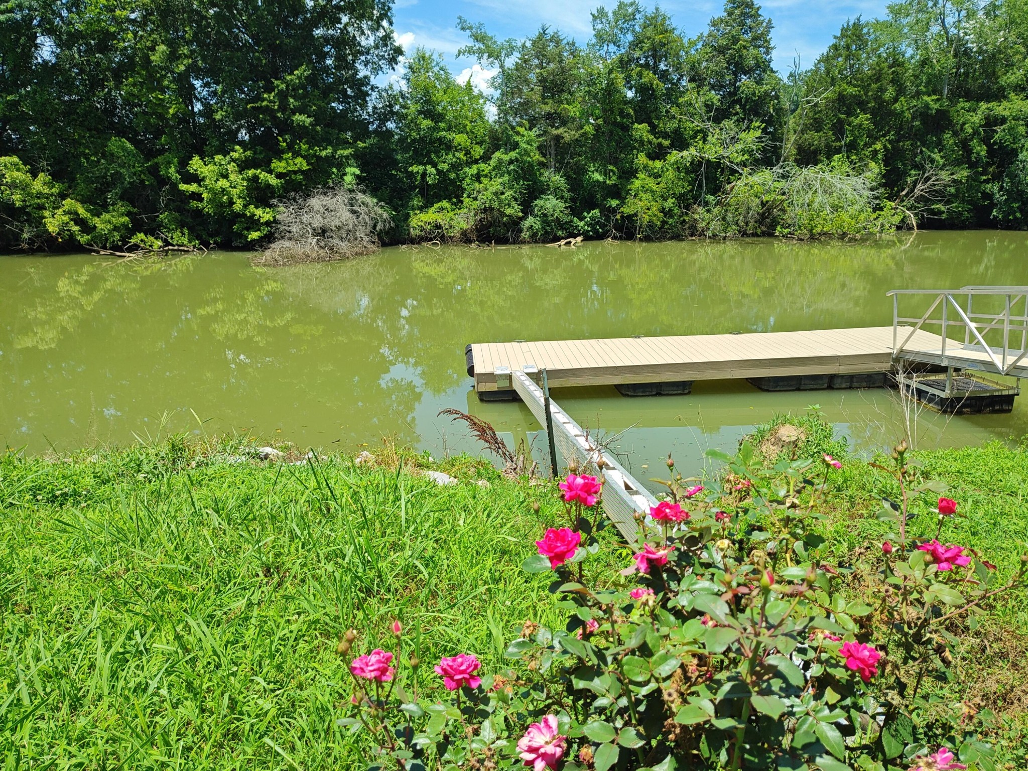 6428 Espalier Drive Decatur TN 37322