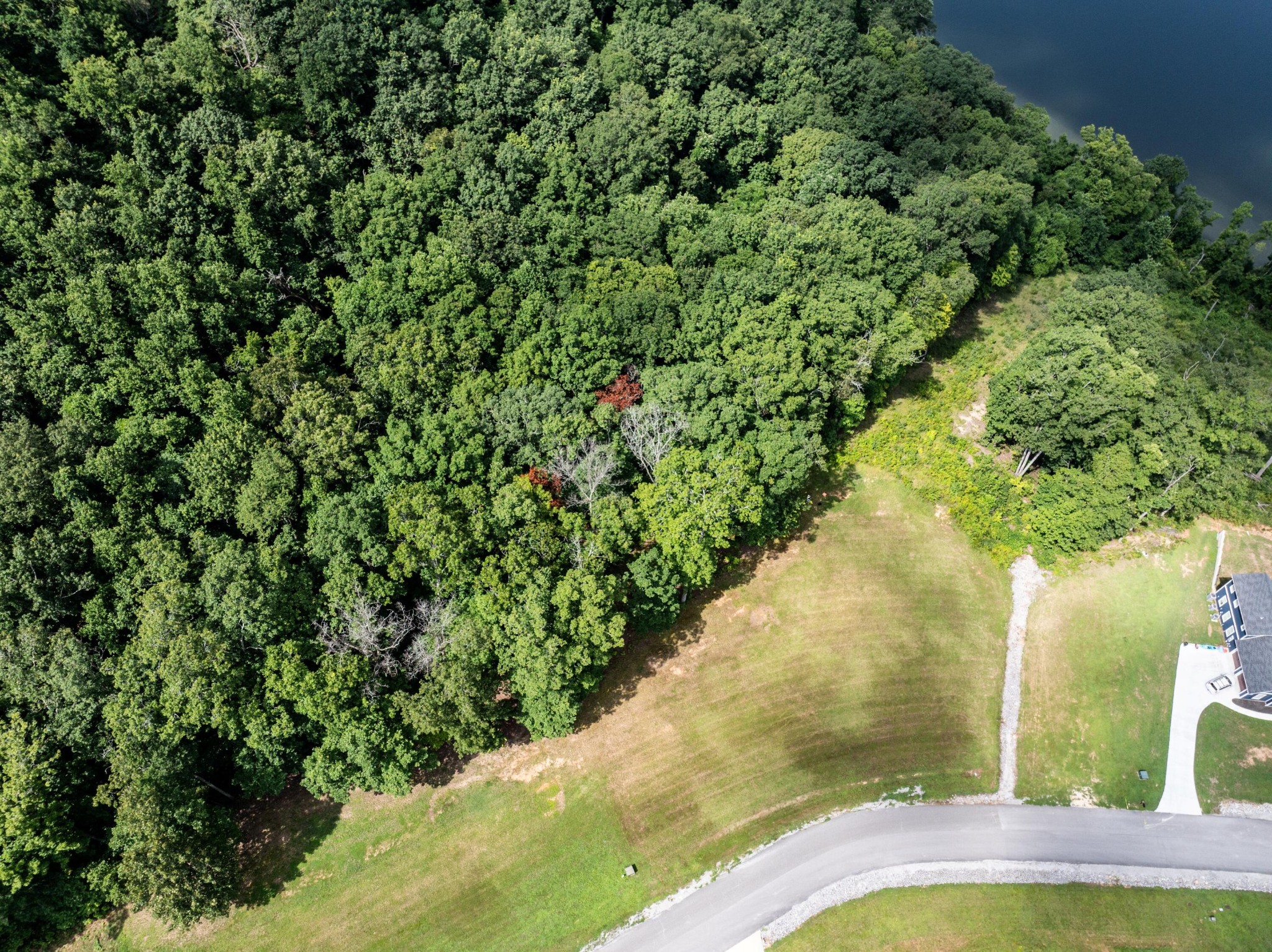 6428 Espalier Drive Decatur TN 37322