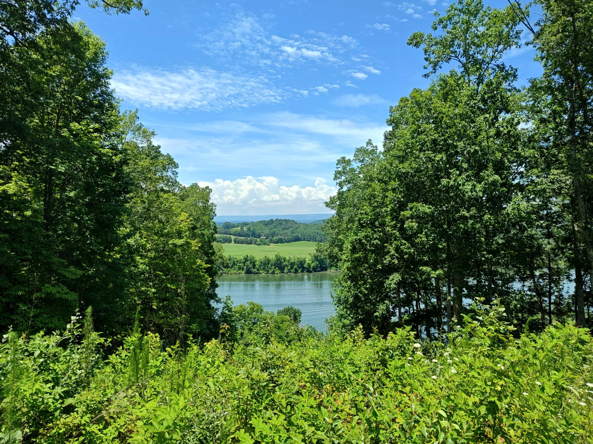 6428 Espalier Drive Decatur TN 37322