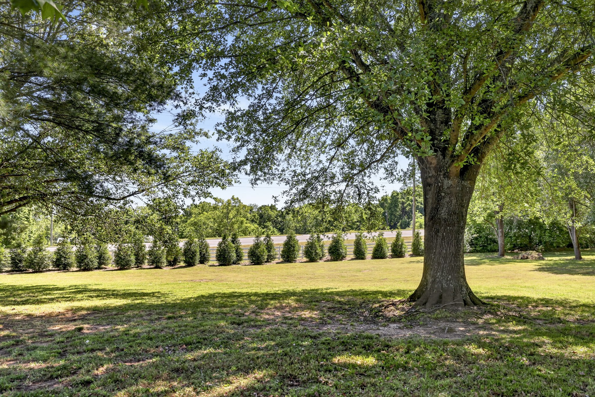 209 Barrington Ct, W Franklin TN 37067