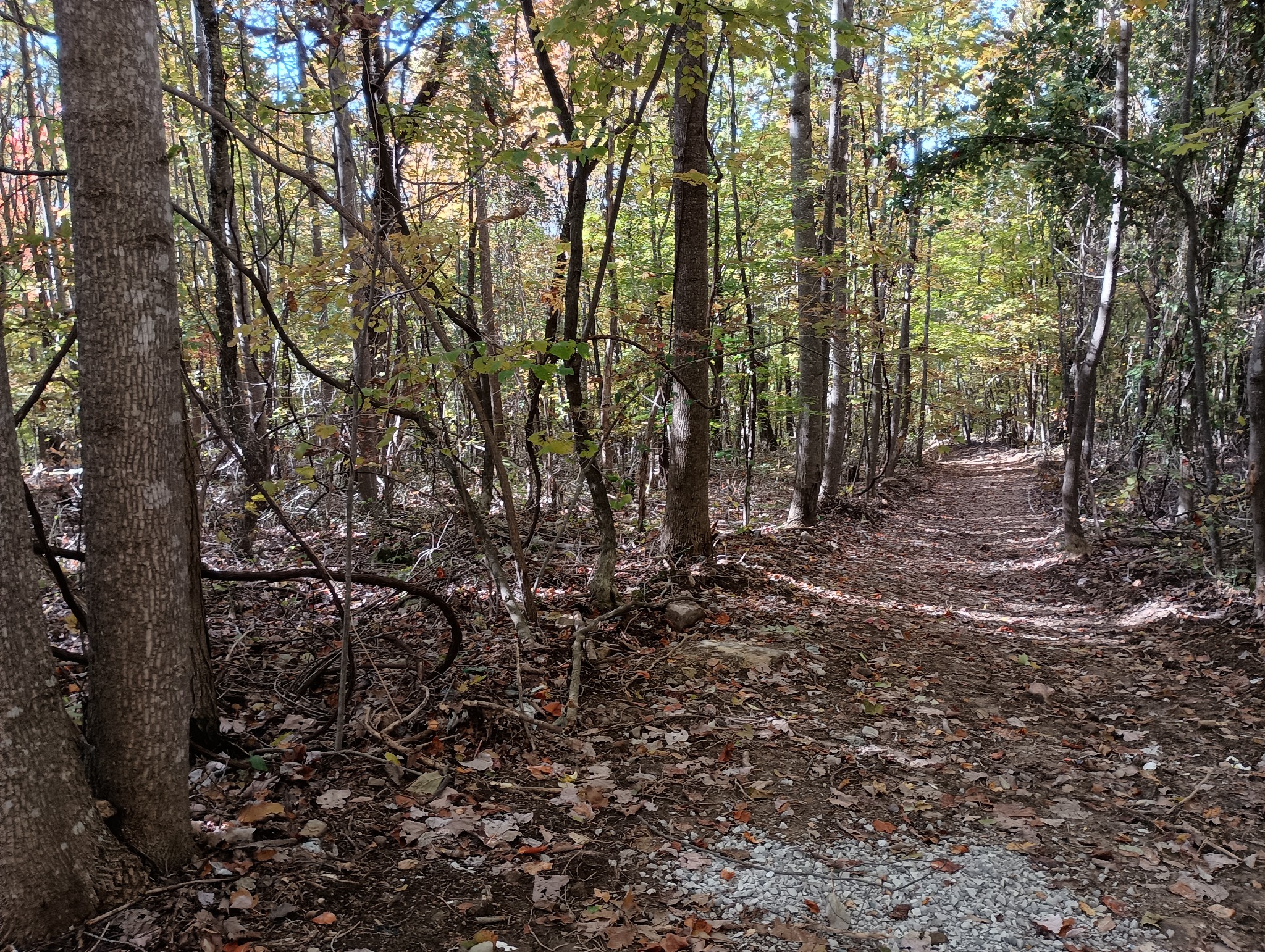 0 Clouse Hill Road Pelham TN 37366