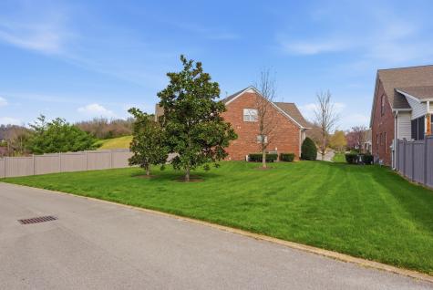 1928 Turning Wheel Lane Franklin TN 37067