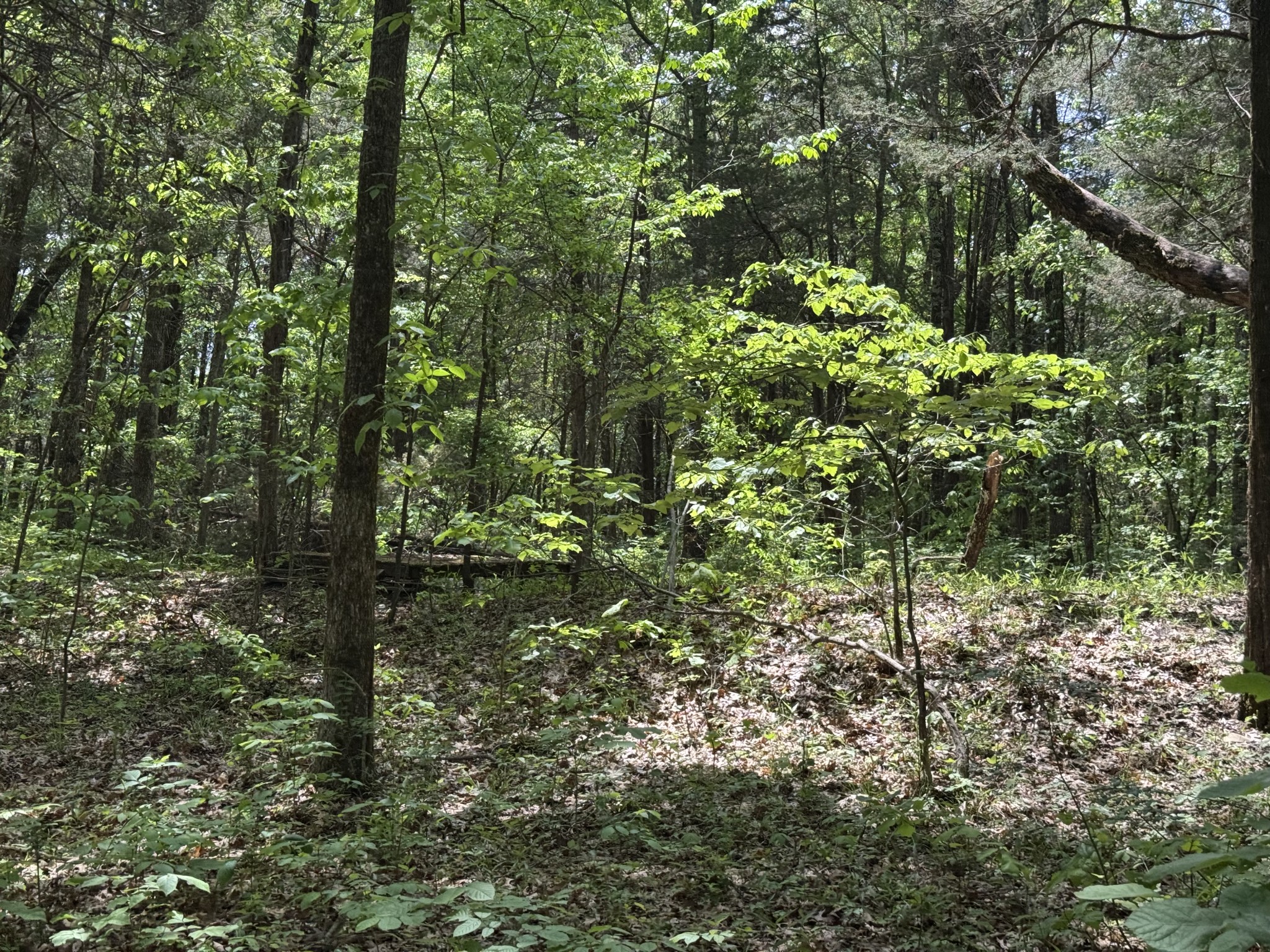 2099 Gentle Road Lewisburg TN 37091