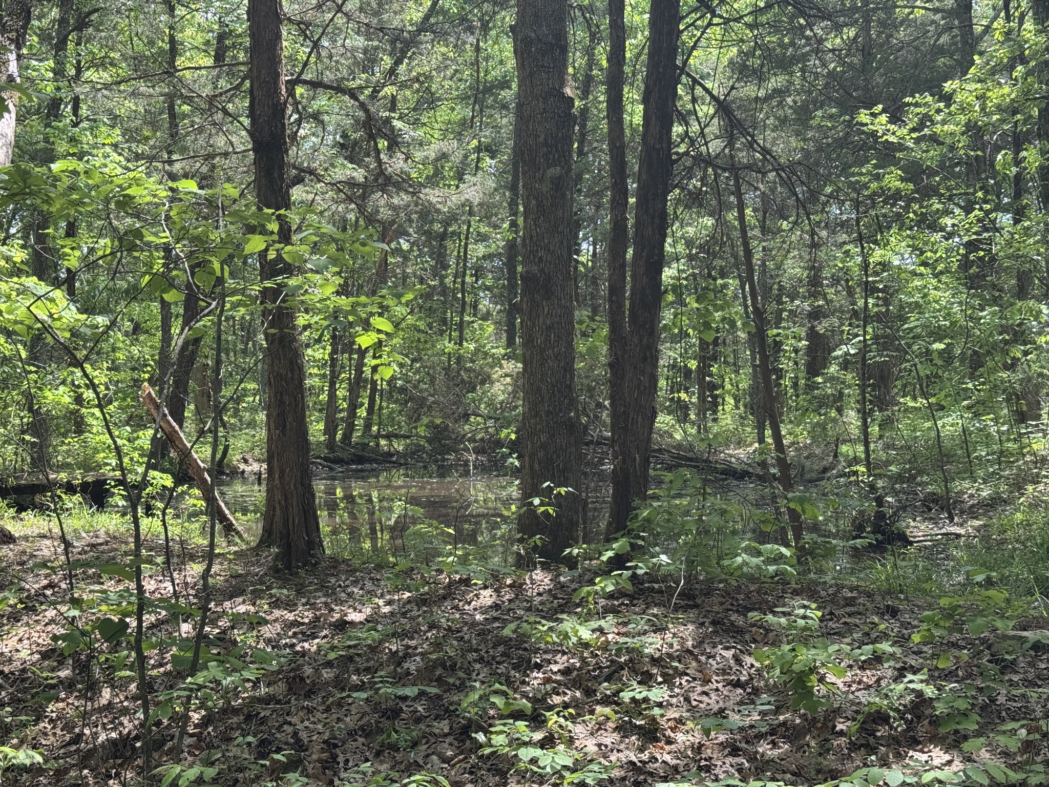 2099 Gentle Road Lewisburg TN 37091